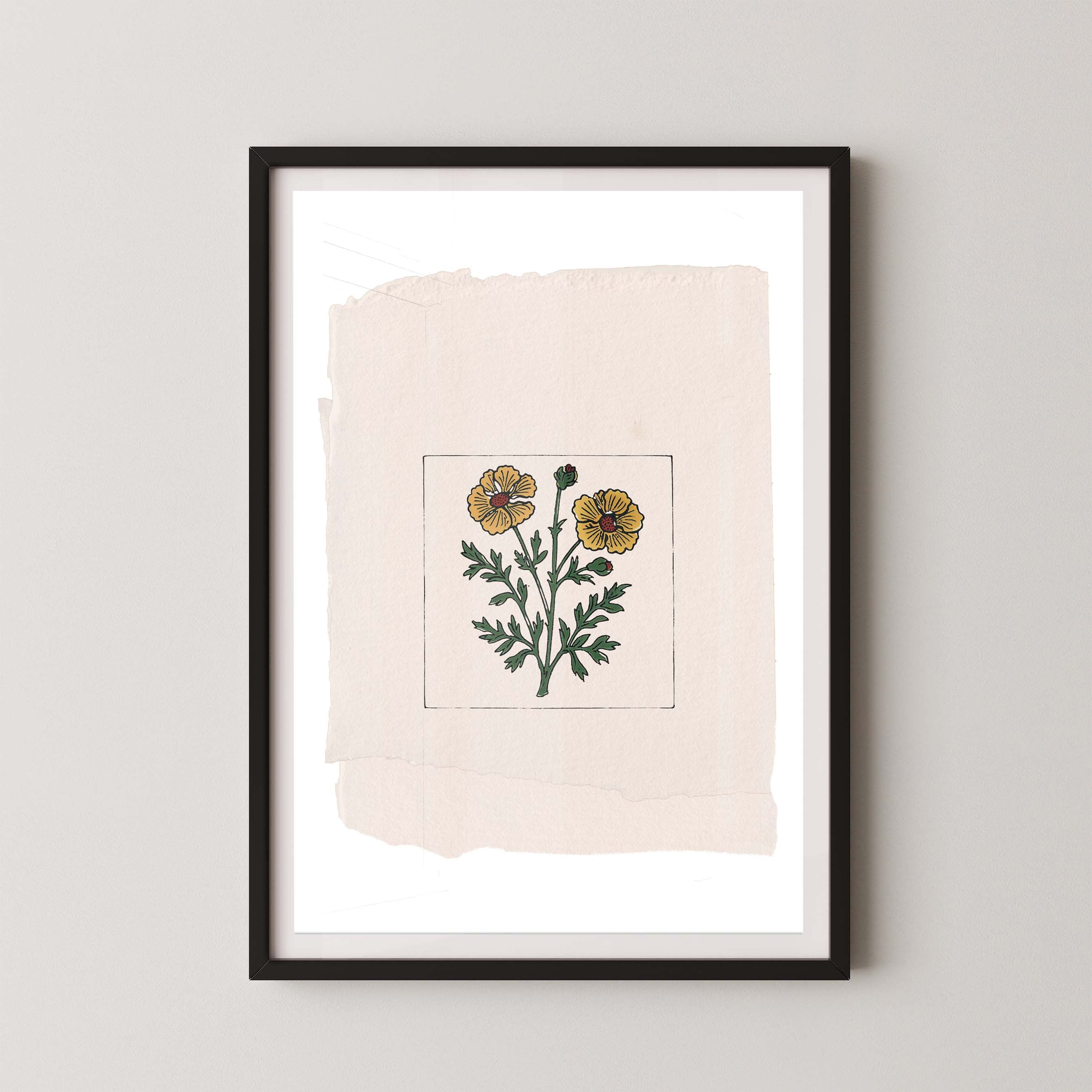 Marigold On Paper