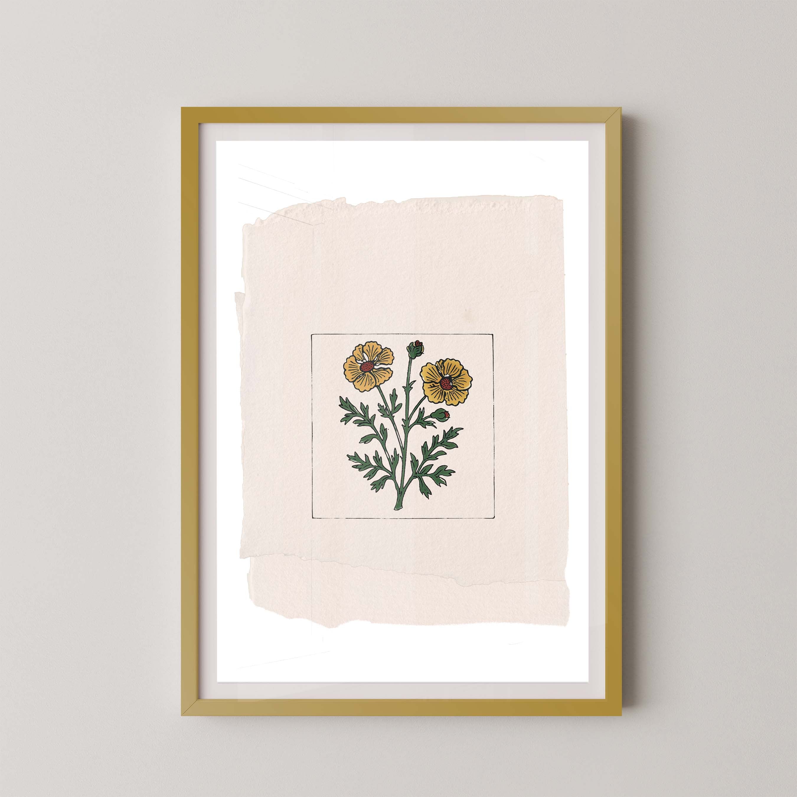 Marigold On Paper
