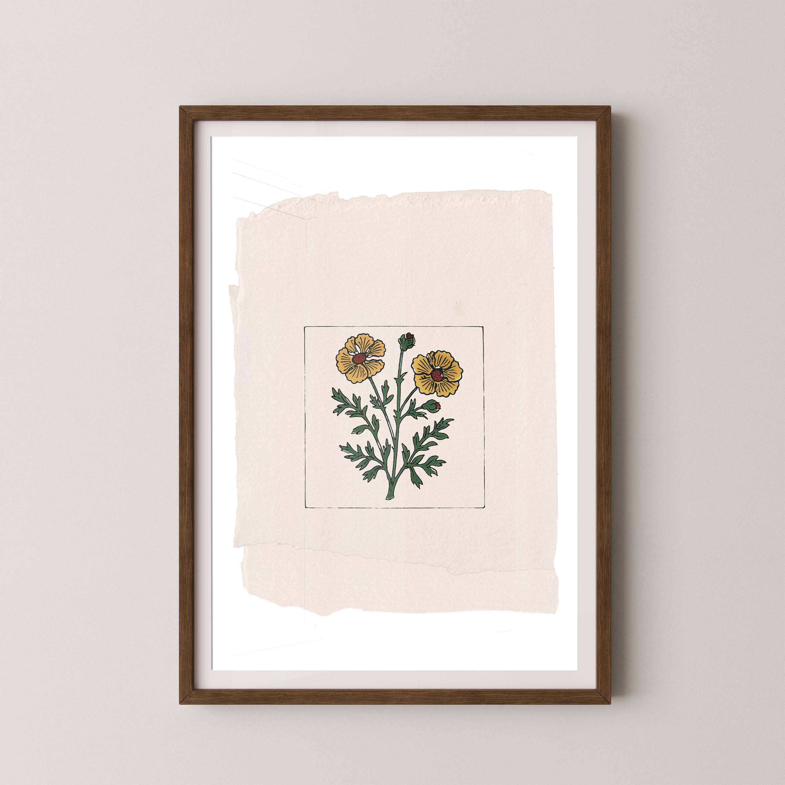 Marigold On Paper