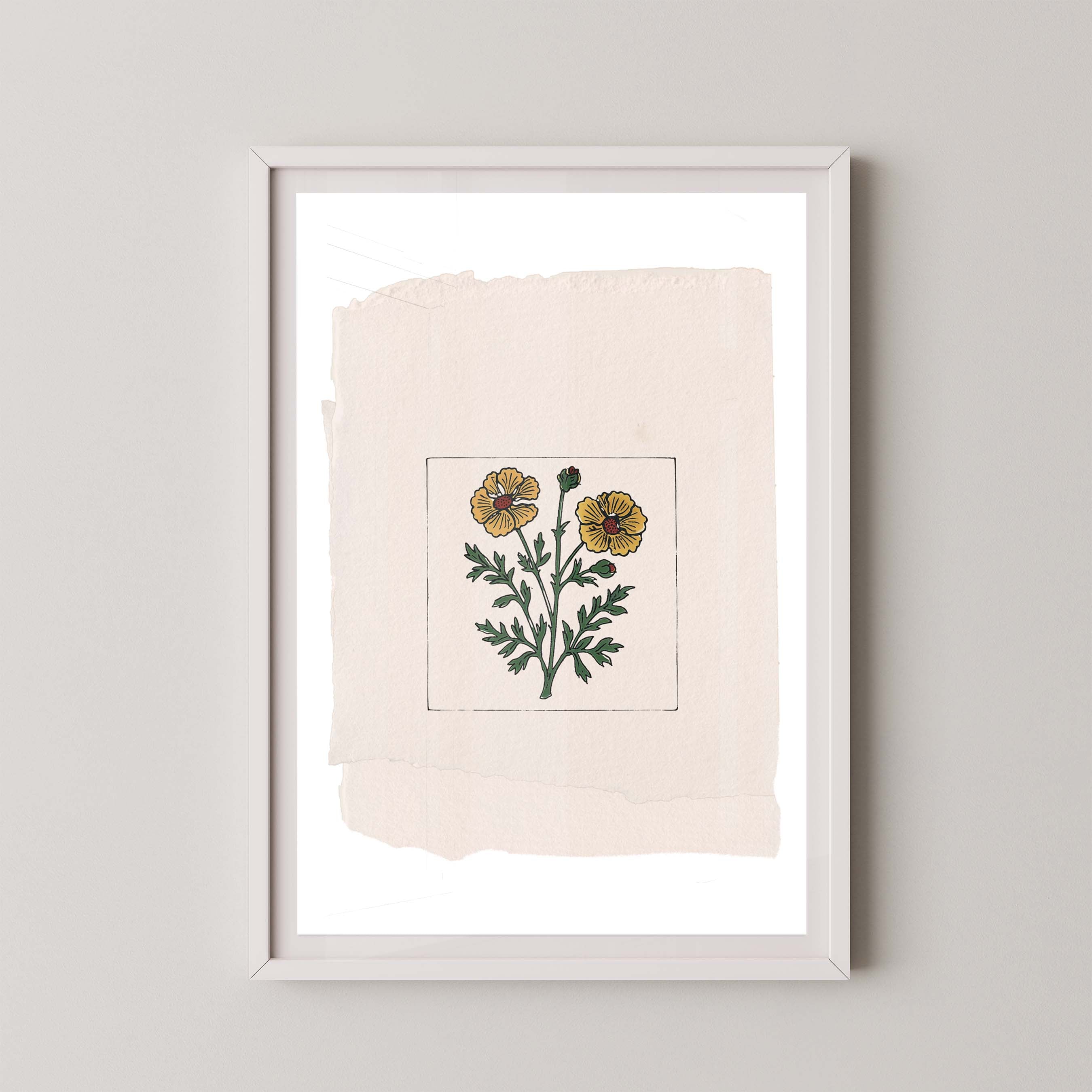 Marigold On Paper