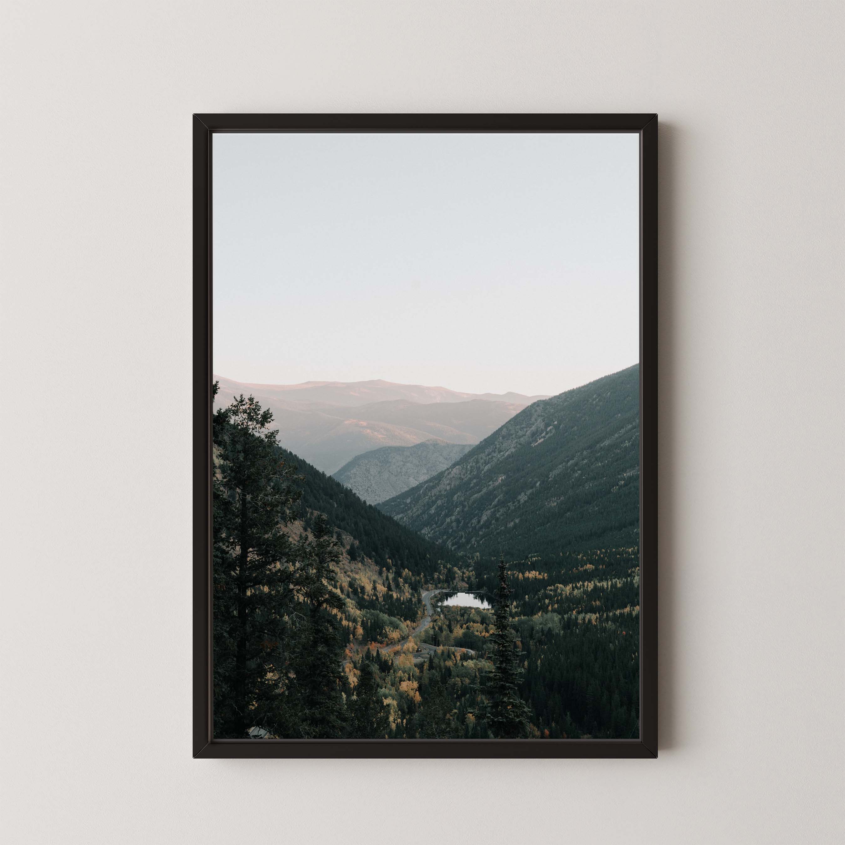 Mountain Vista