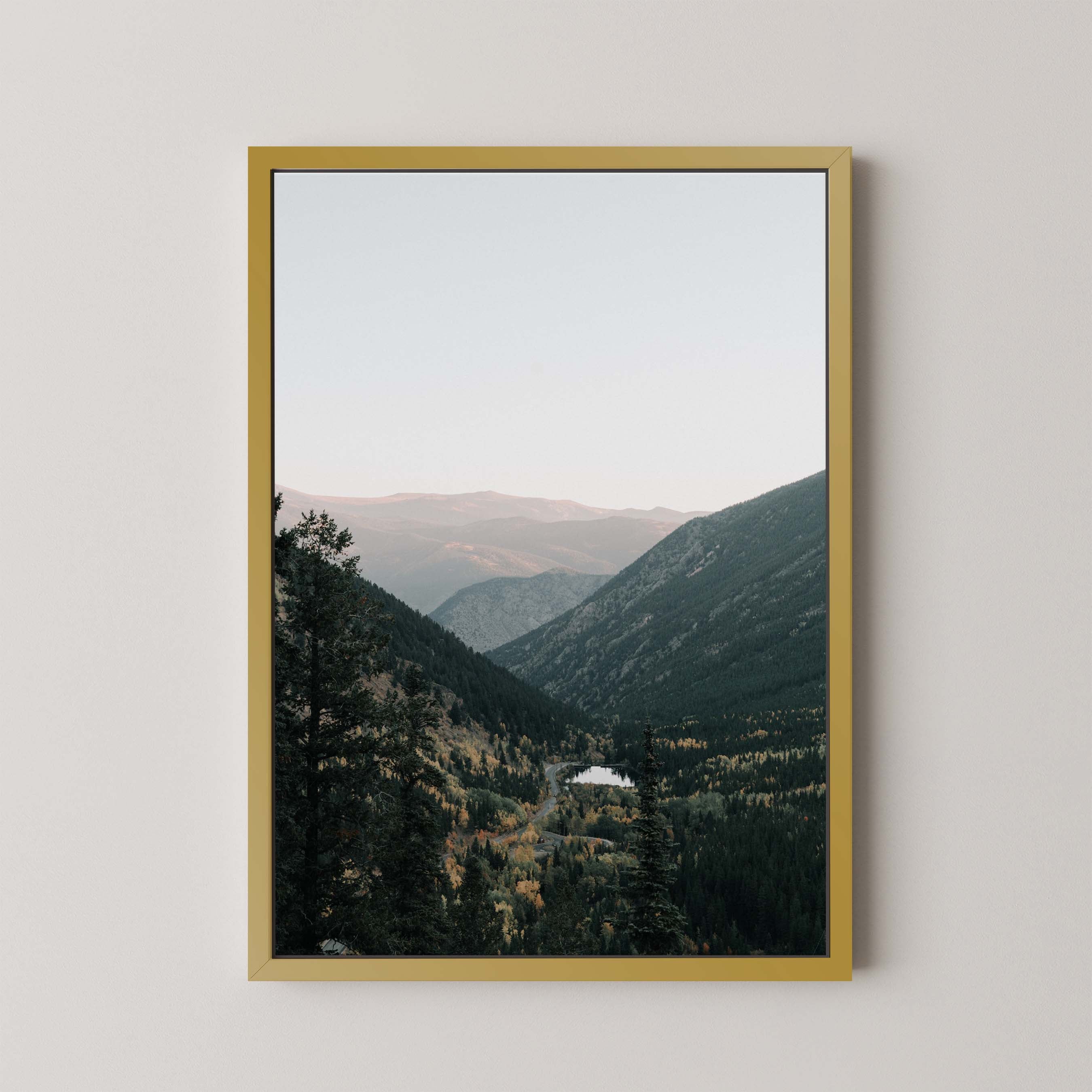 Mountain Vista