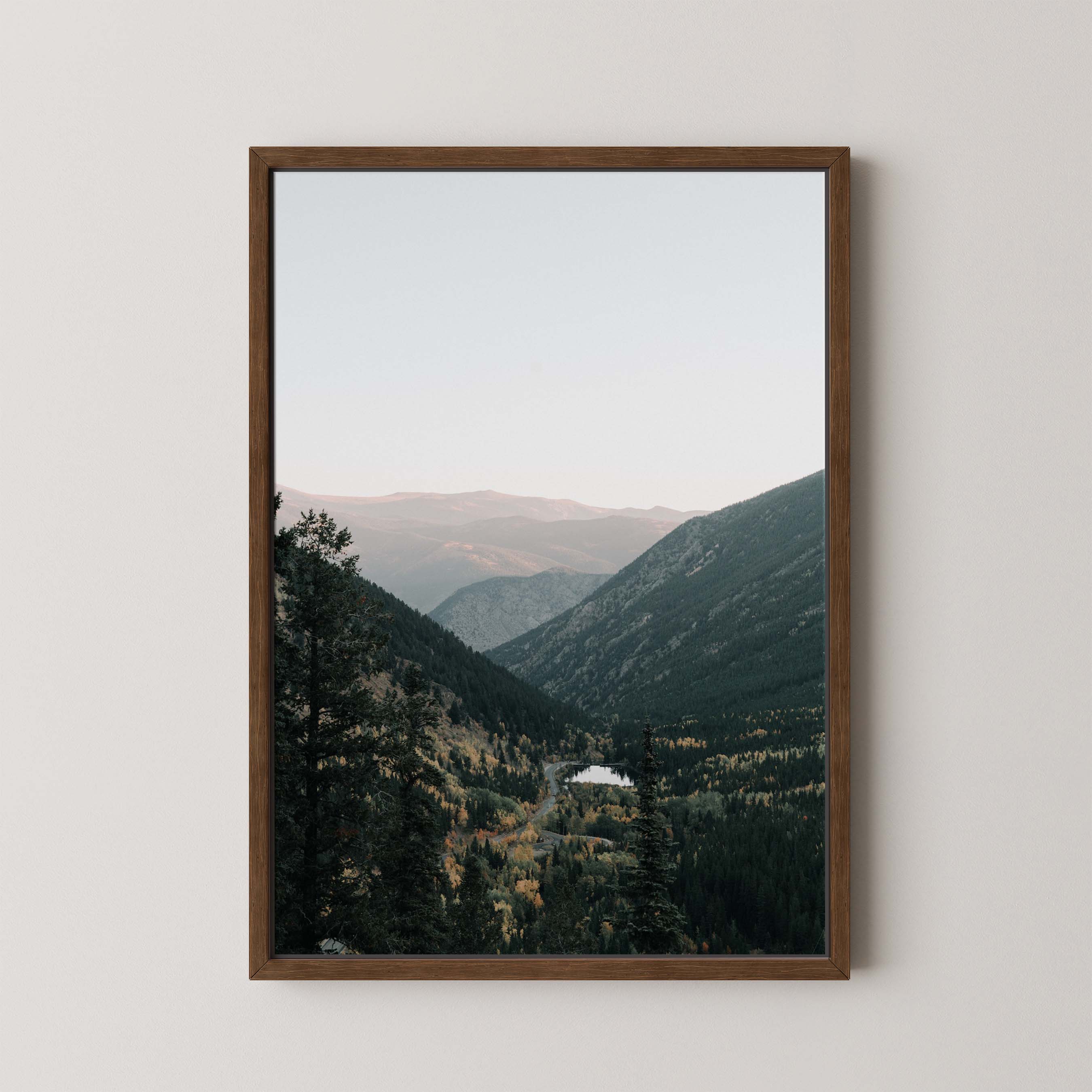 Mountain Vista