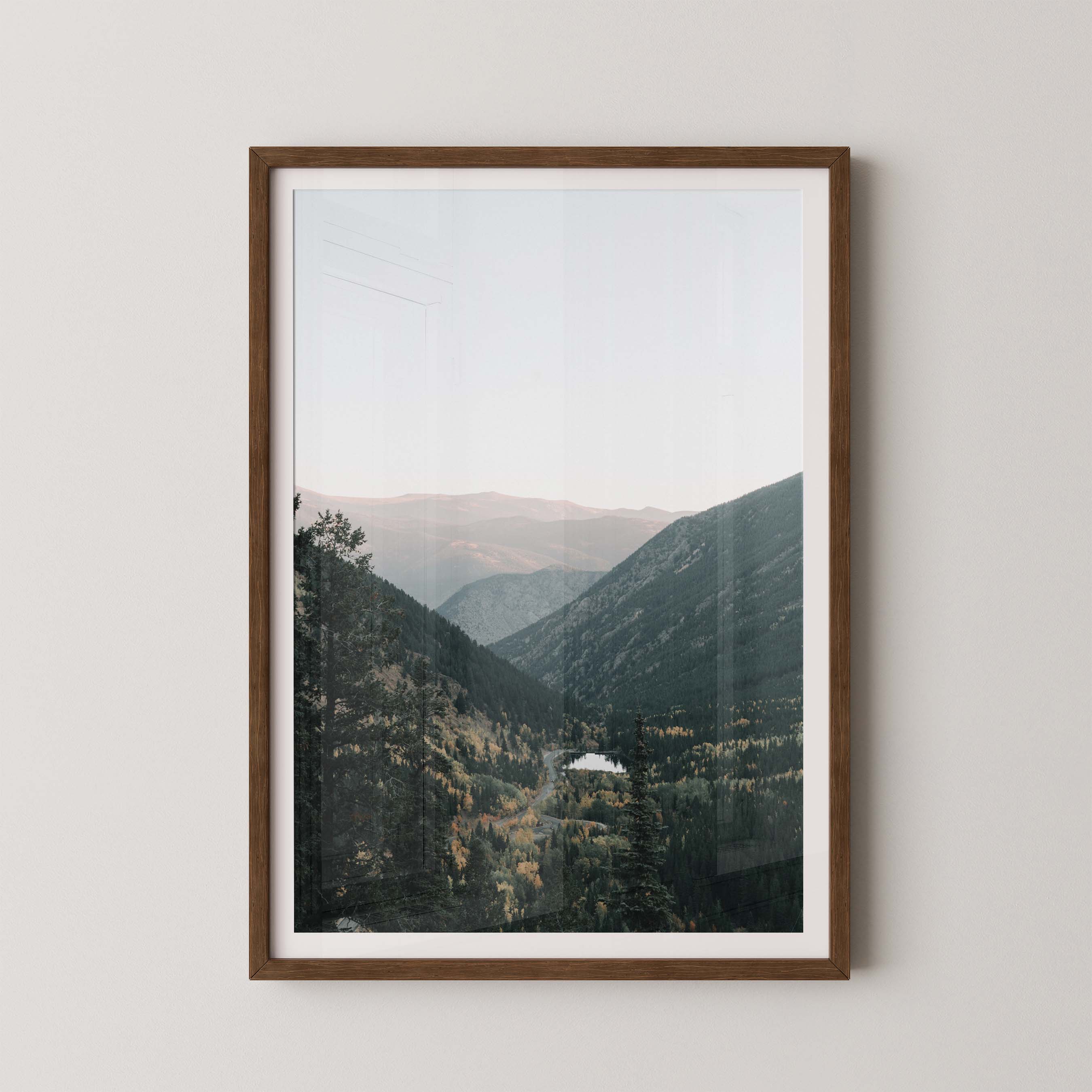 Mountain Vista