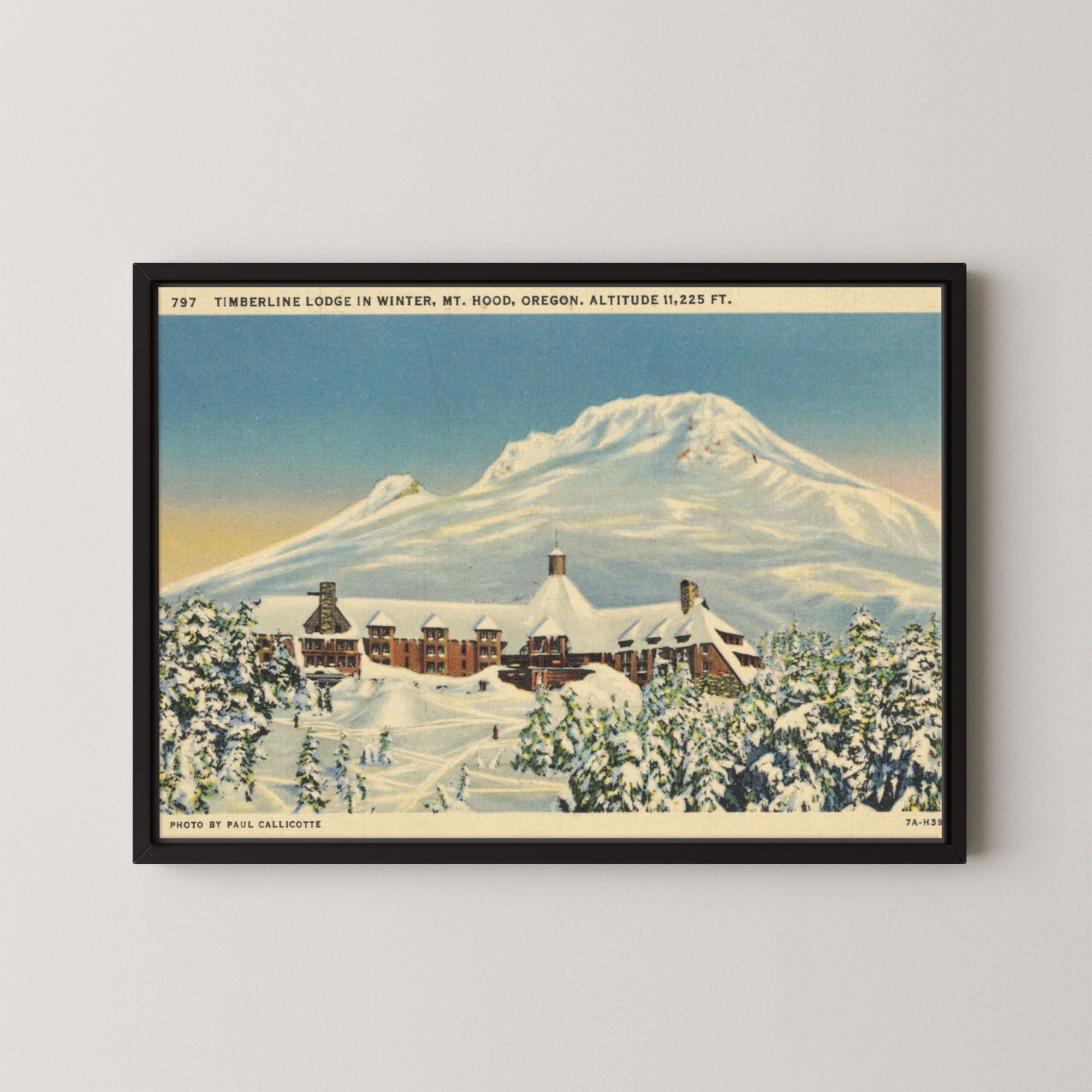 Mt. Hood Postcard I