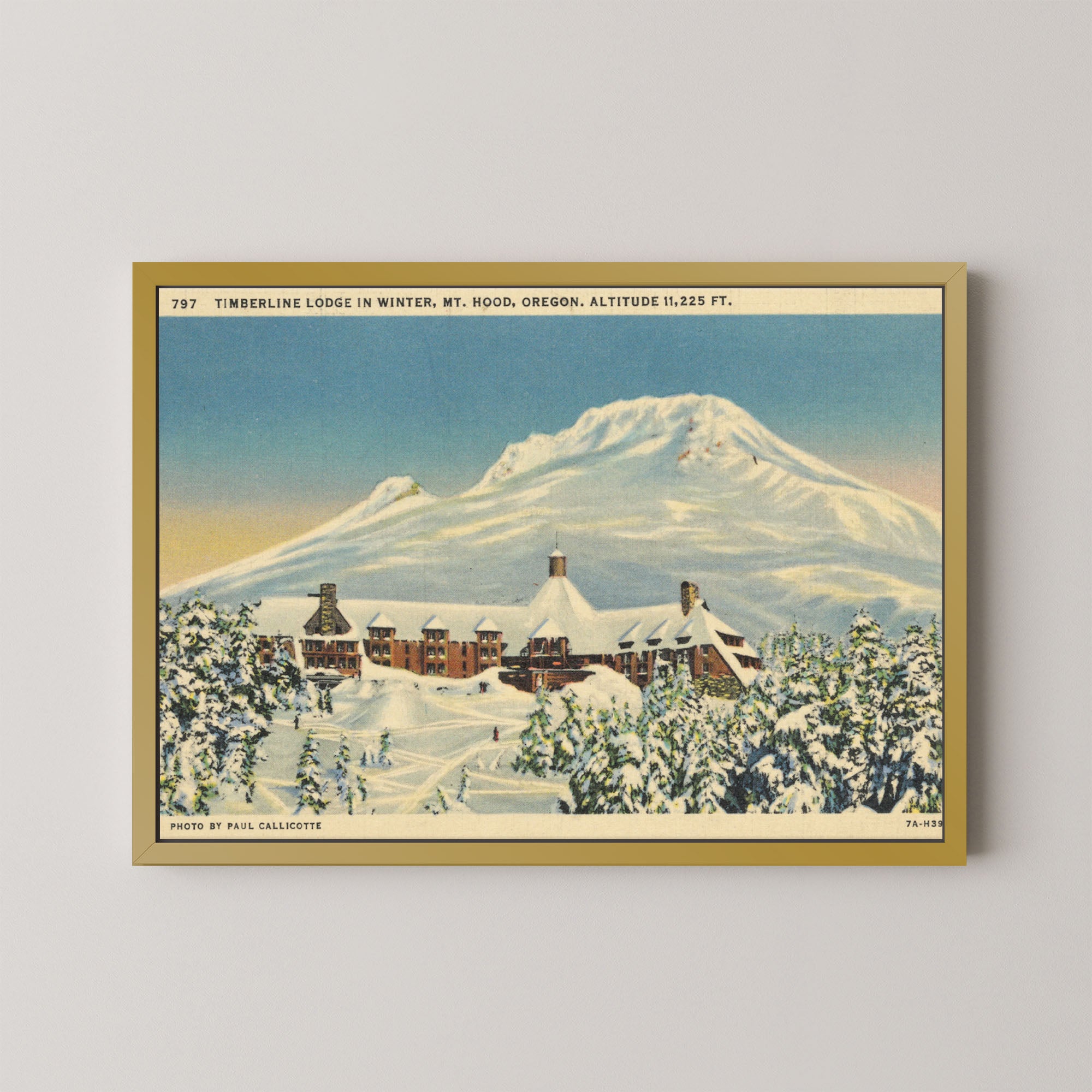 Mt. Hood Postcard I