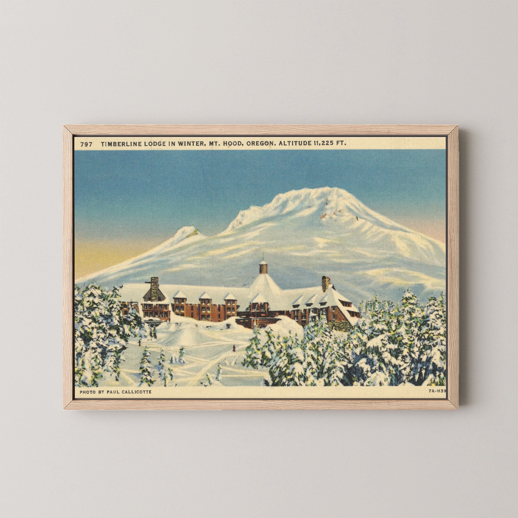Mt. Hood Postcard I