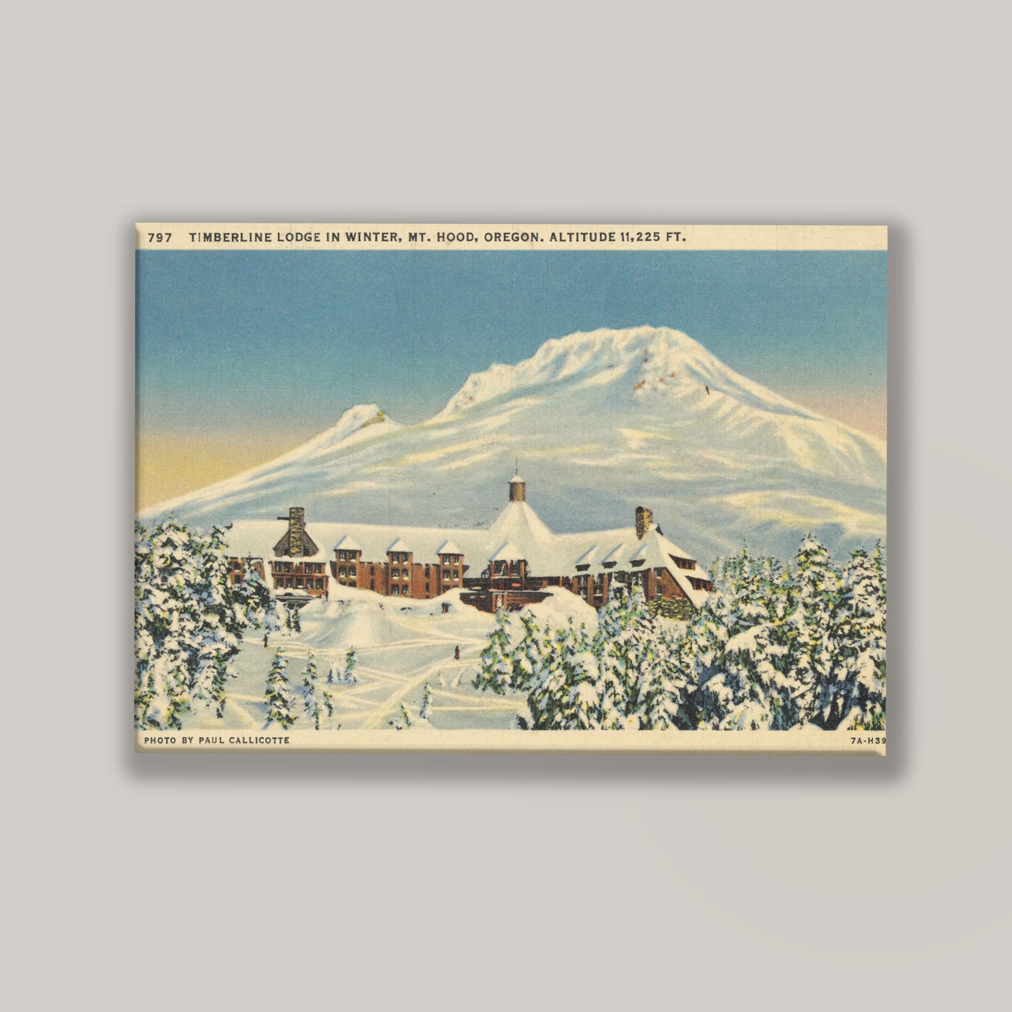 Mt. Hood Postcard I