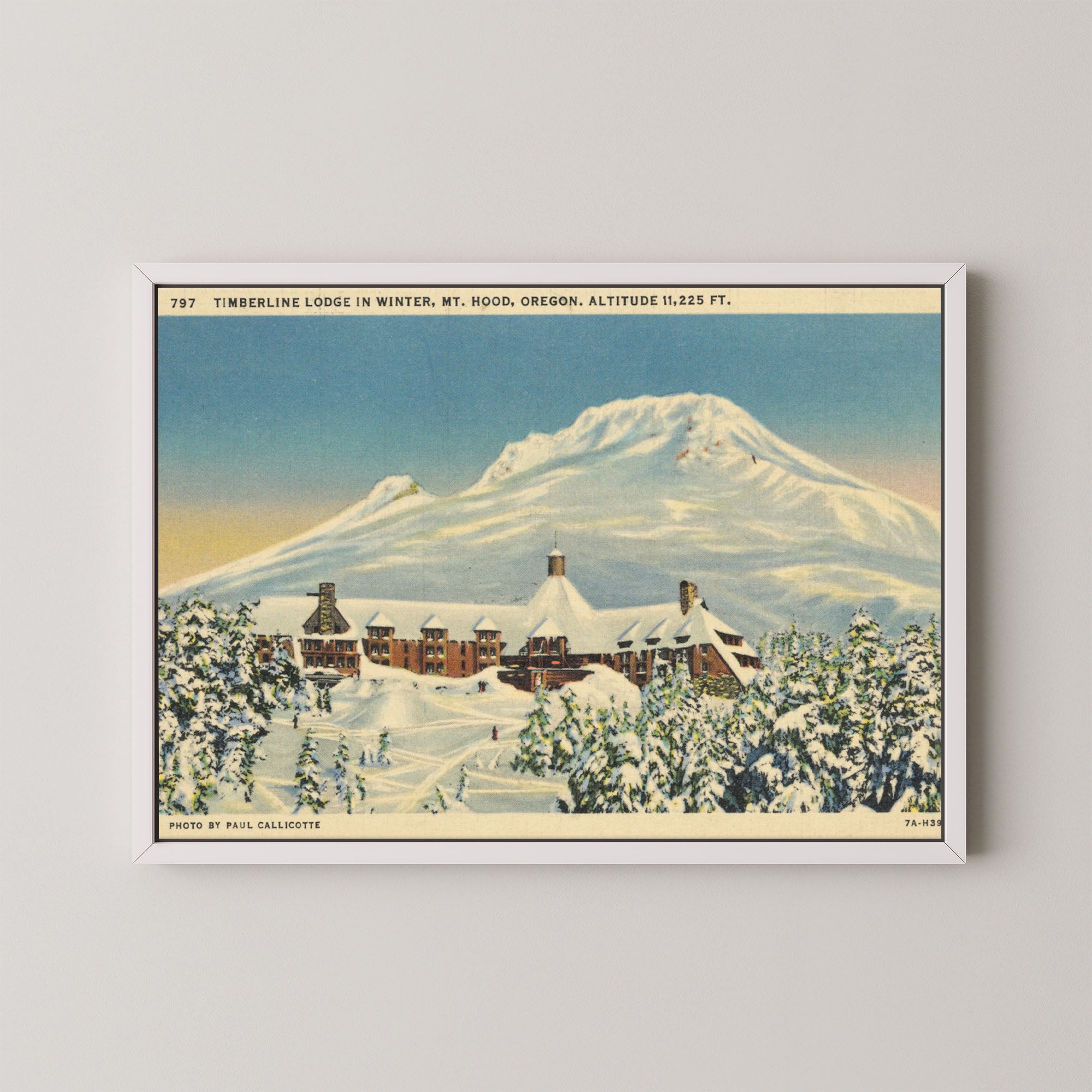 Mt. Hood Postcard I