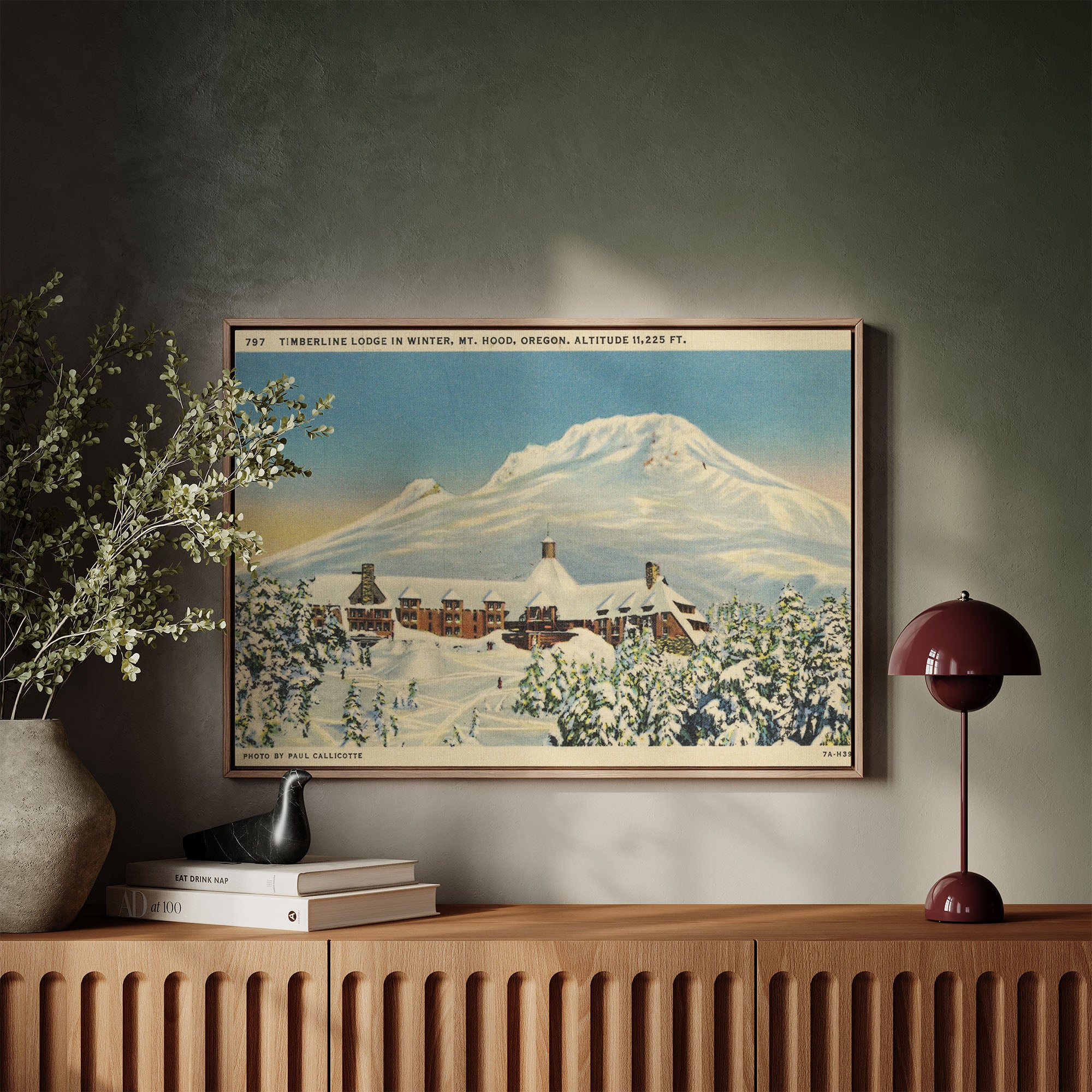 Mt. Hood Postcard I