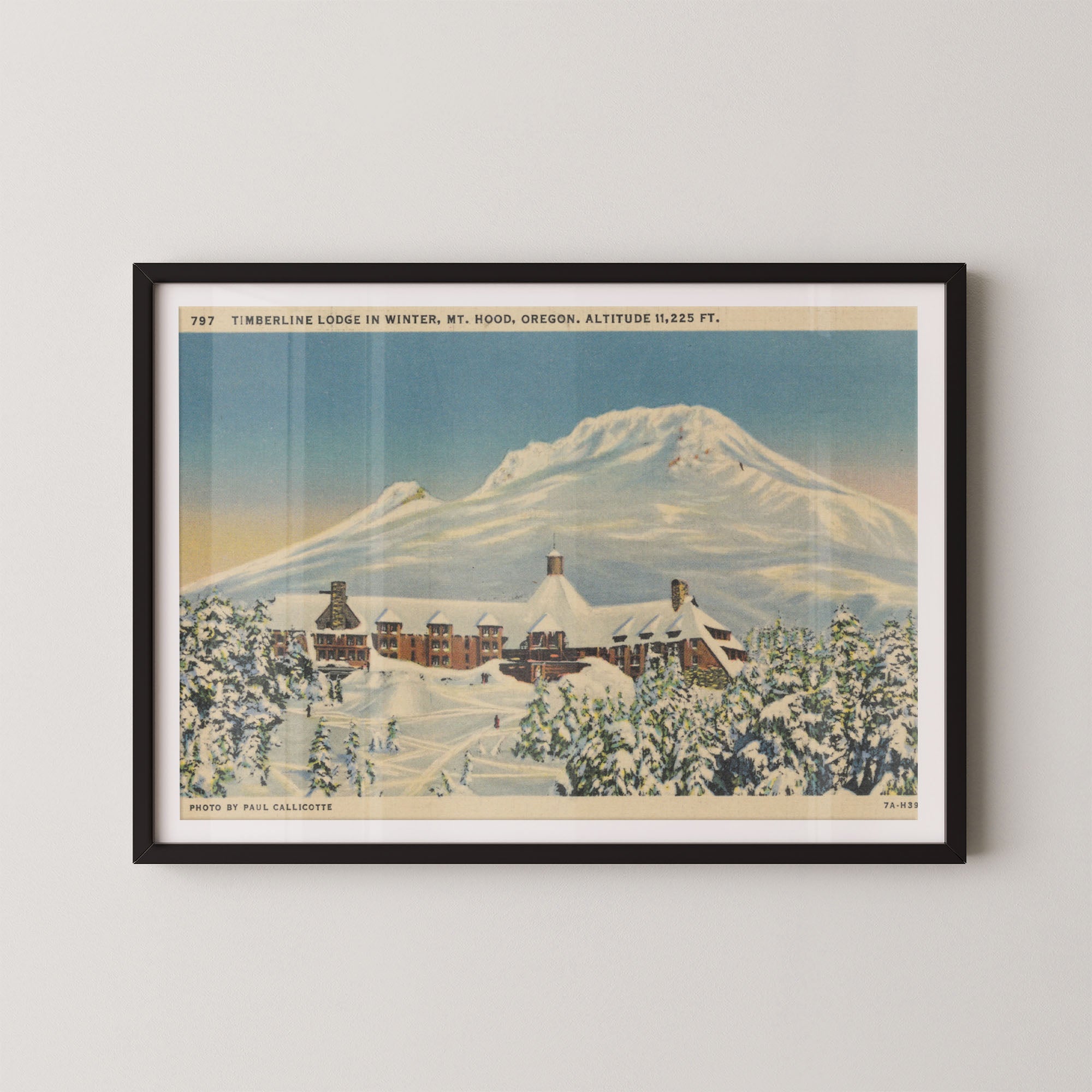 Mt. Hood Postcard I