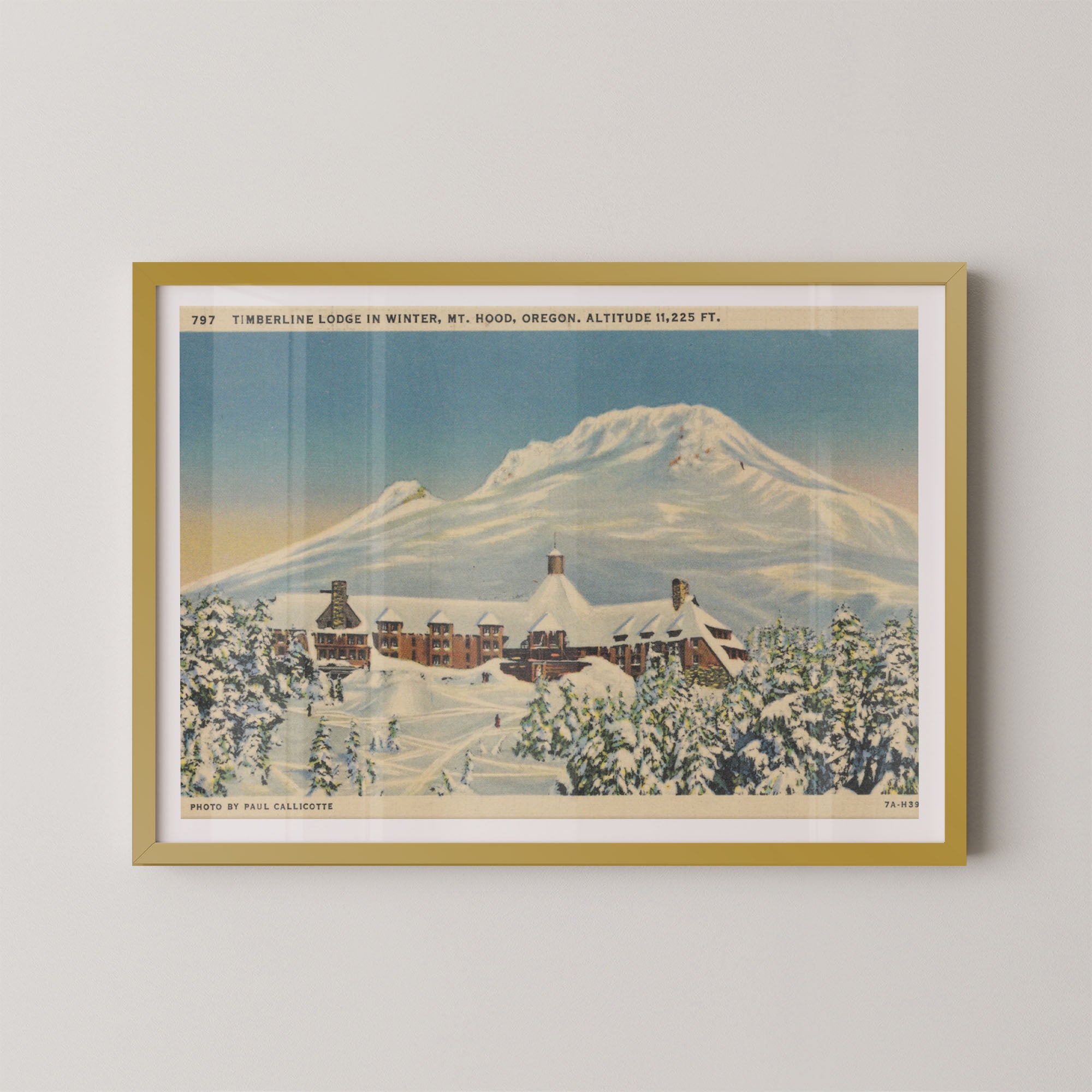 Mt. Hood Postcard I