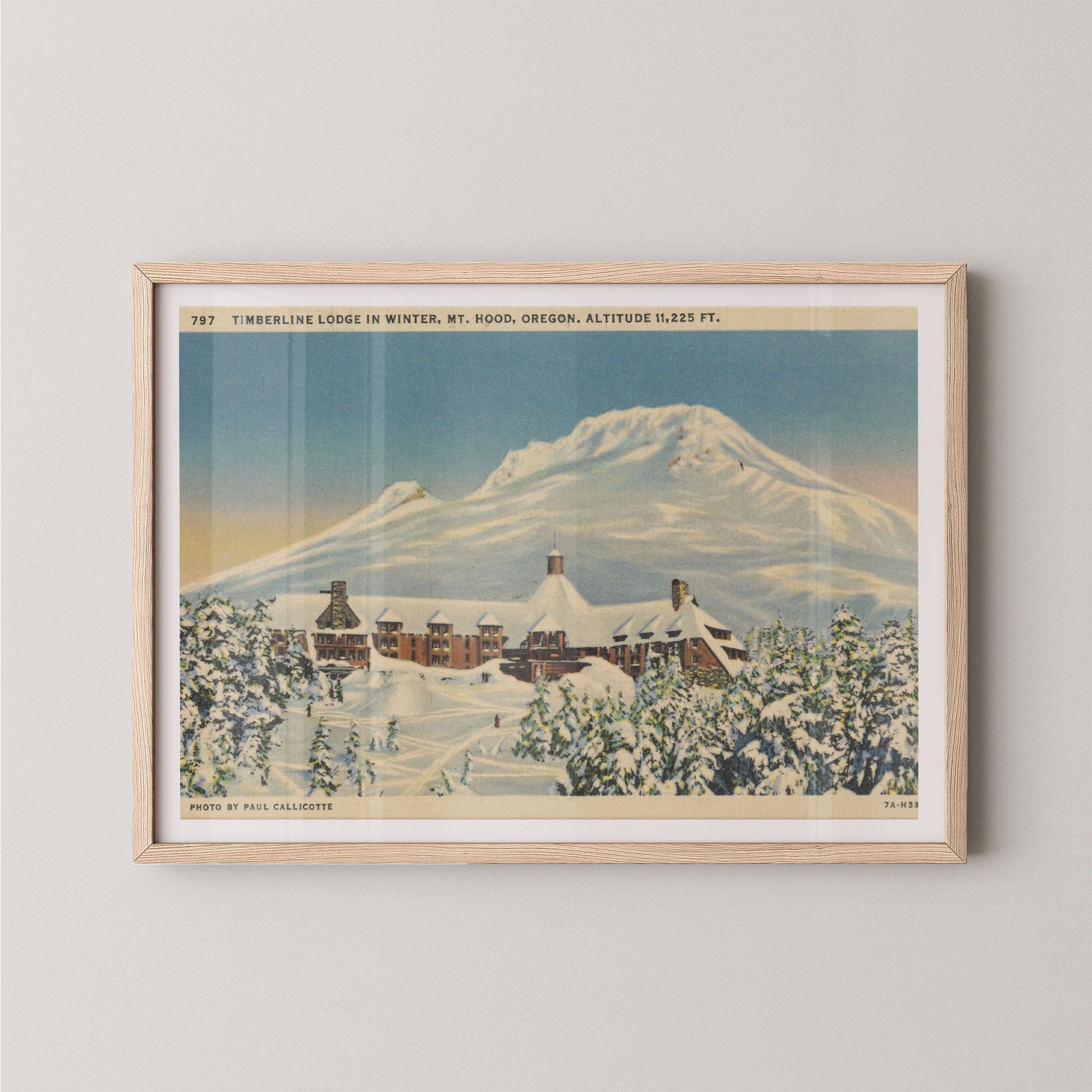 Mt. Hood Postcard I