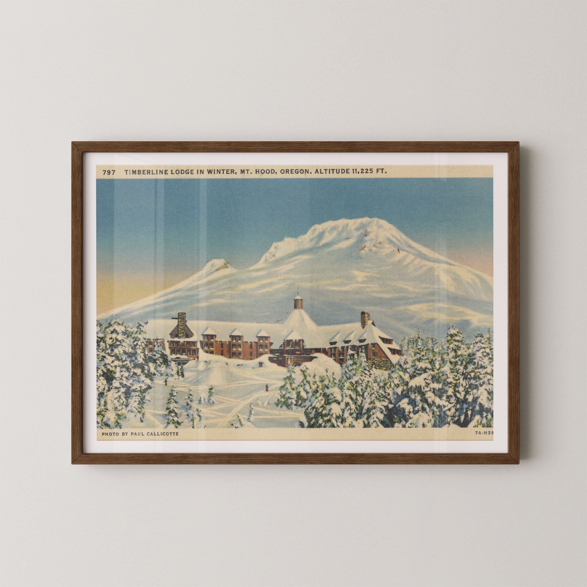 Mt. Hood Postcard I