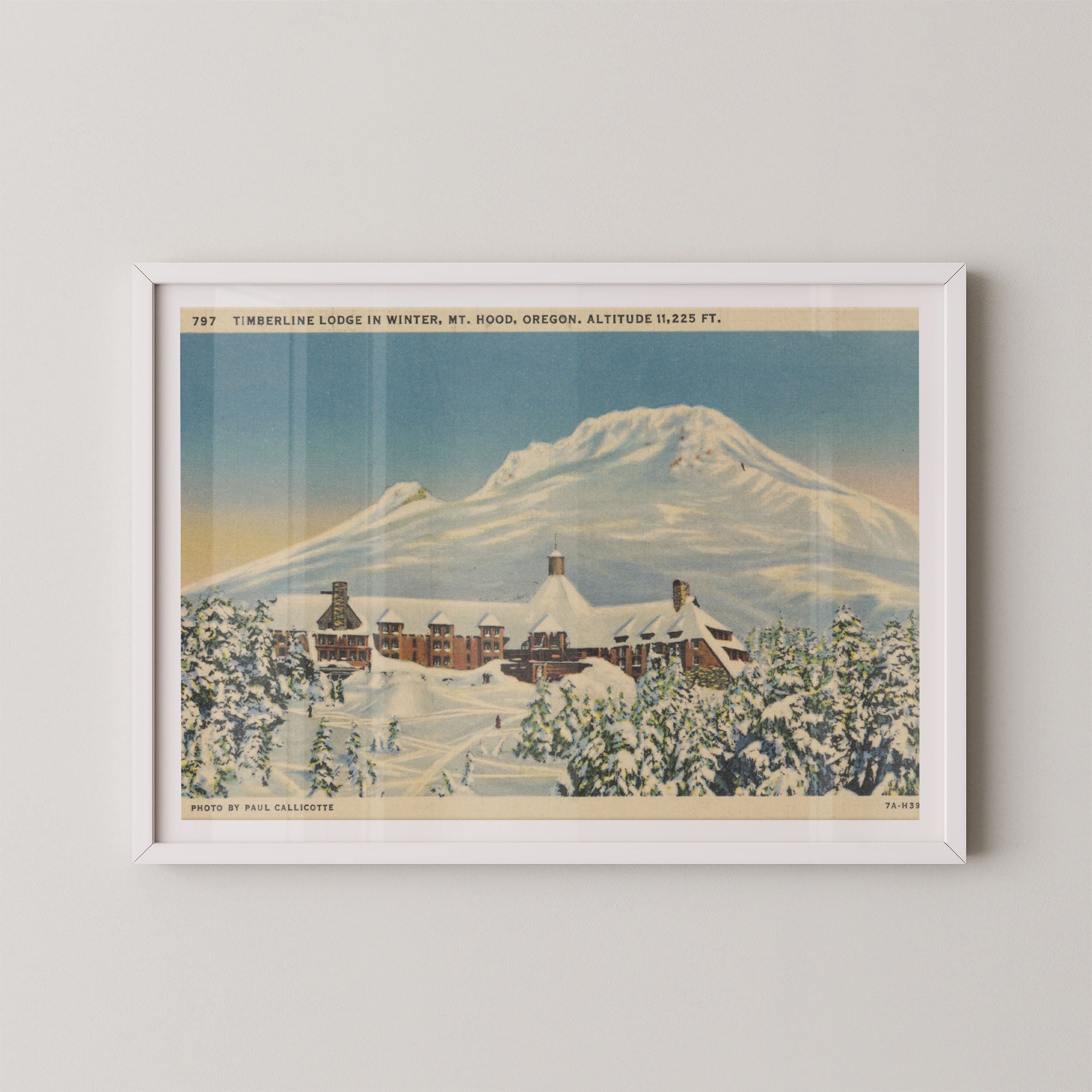 Mt. Hood Postcard I