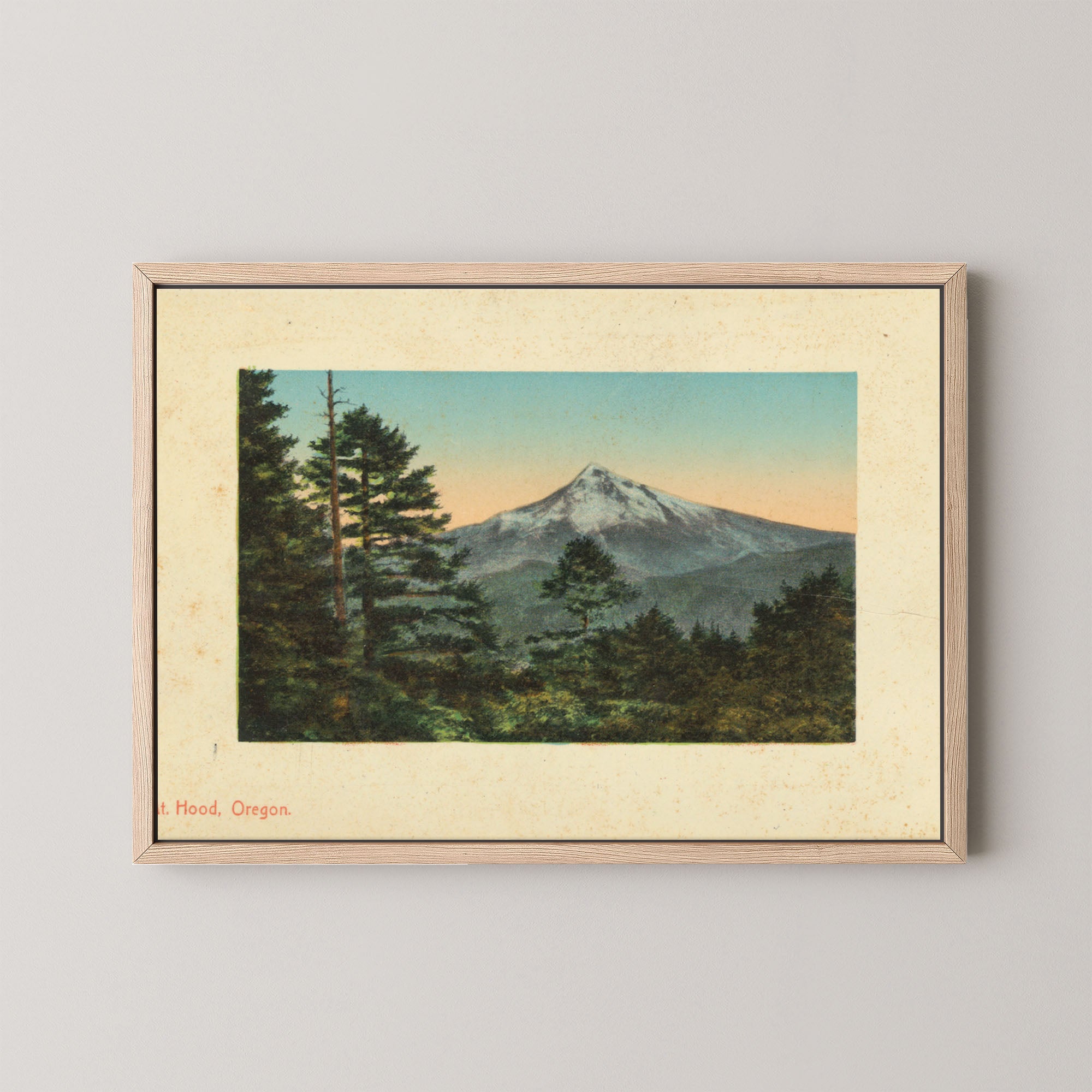 Mt. Hood Postcard II