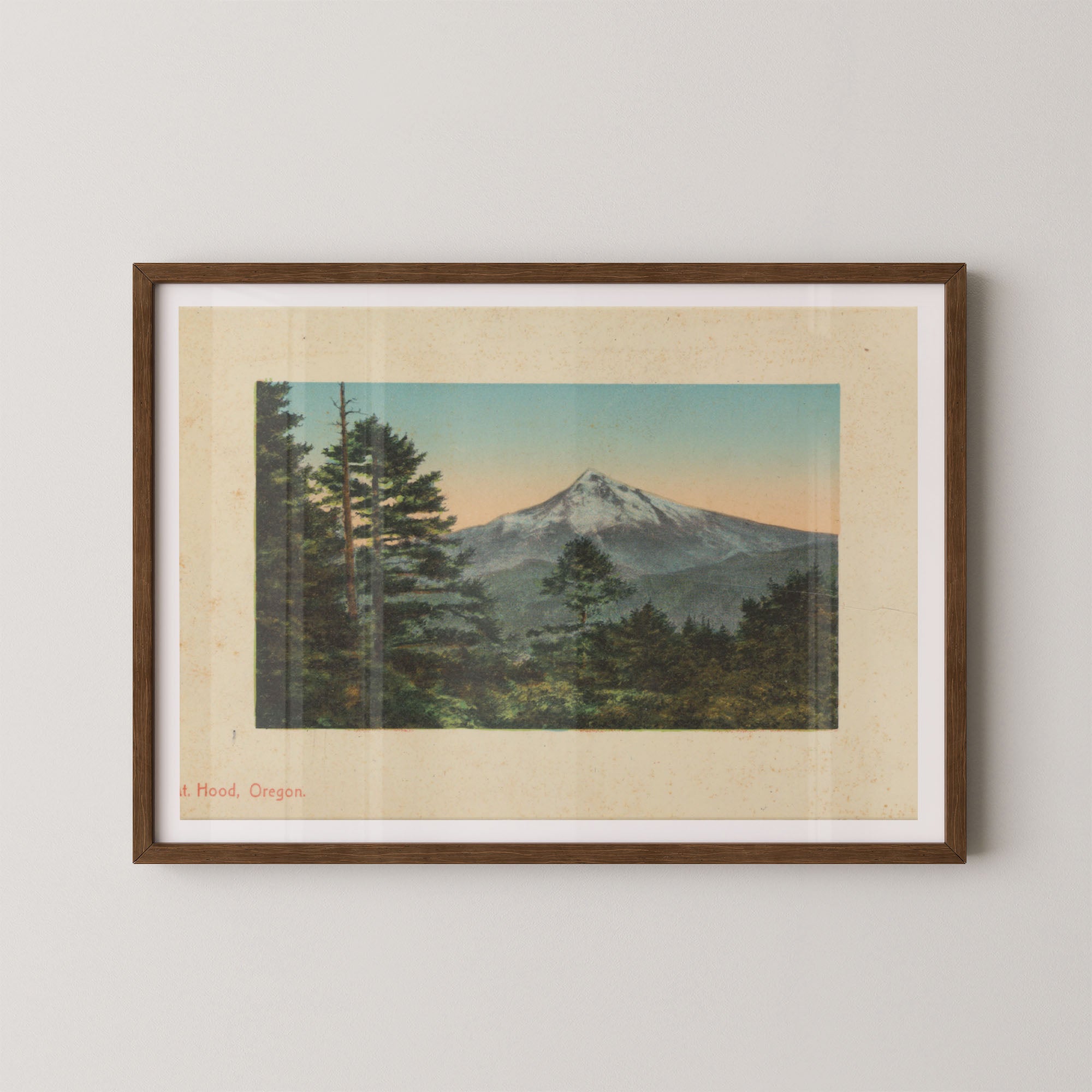 Mt. Hood Postcard II