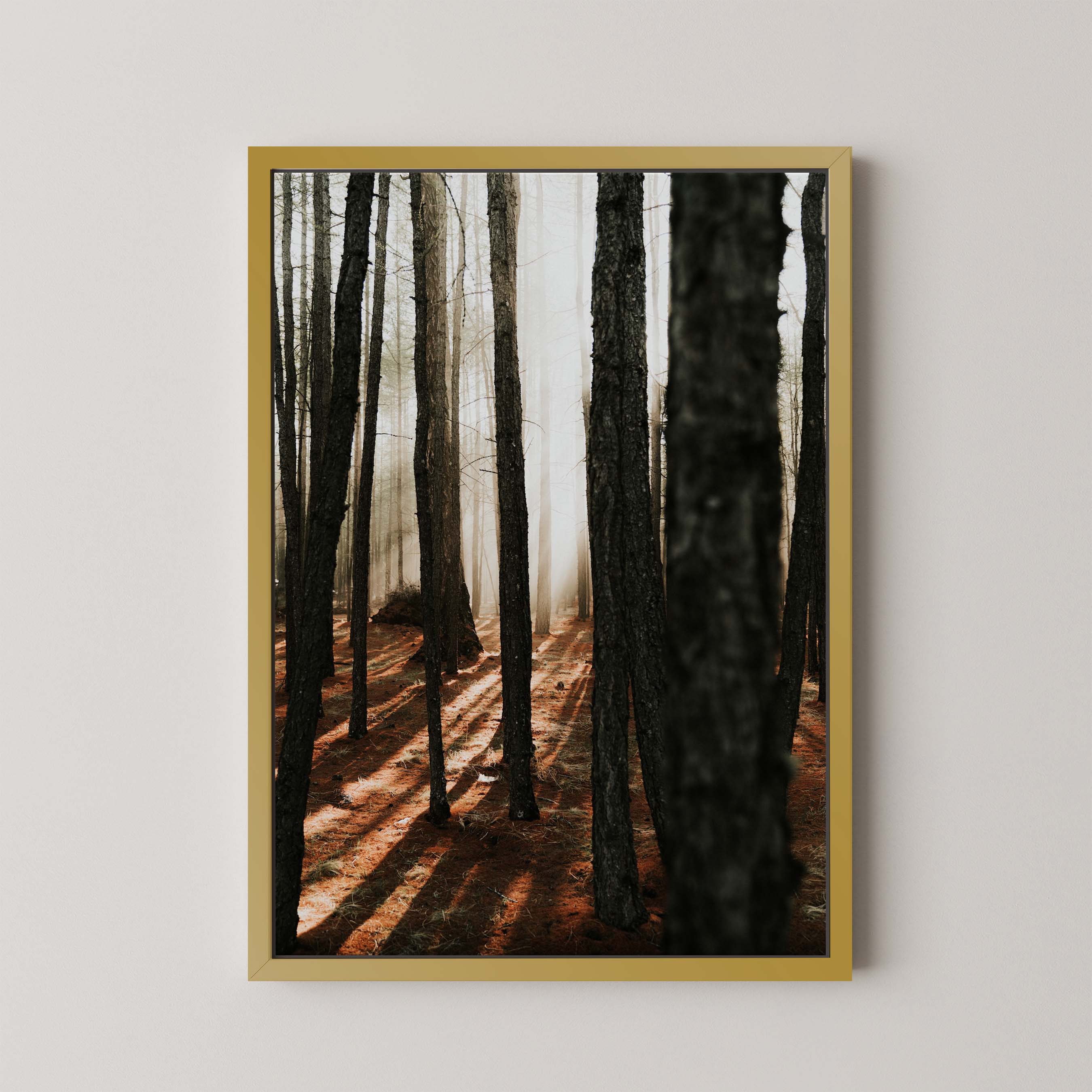 Mystic Forest