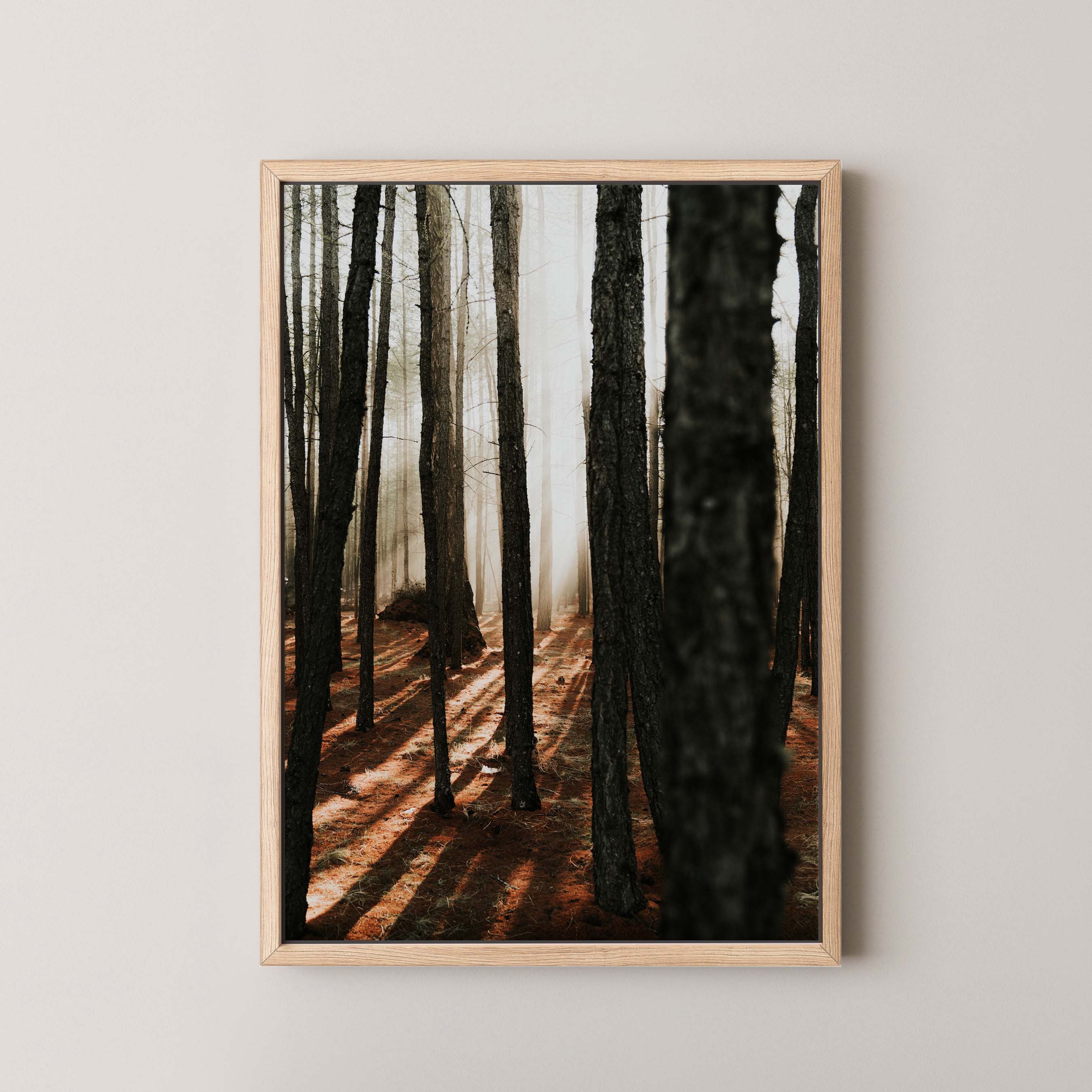 Mystic Forest