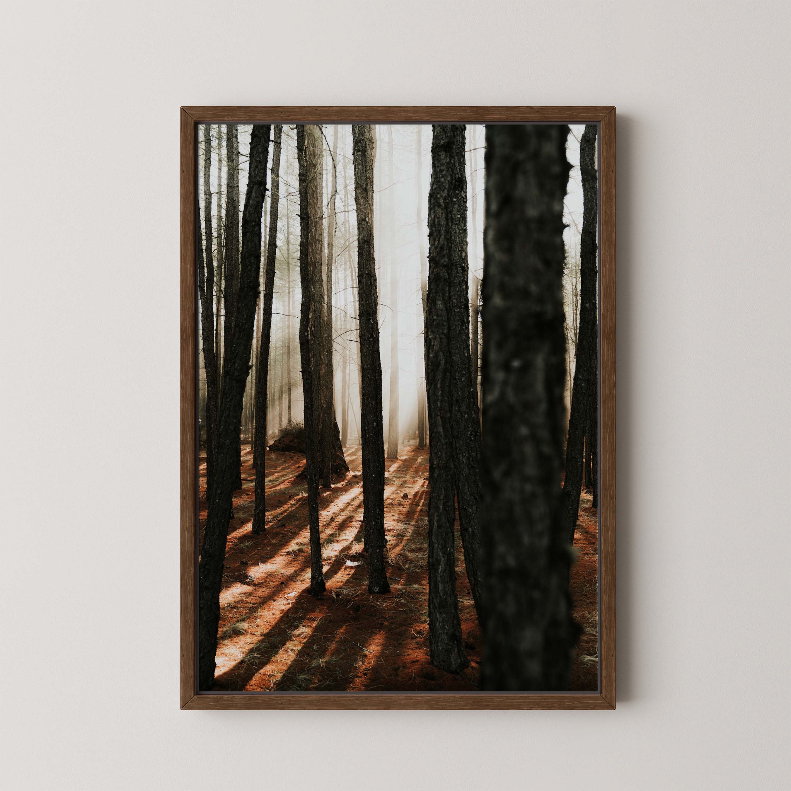 Mystic Forest