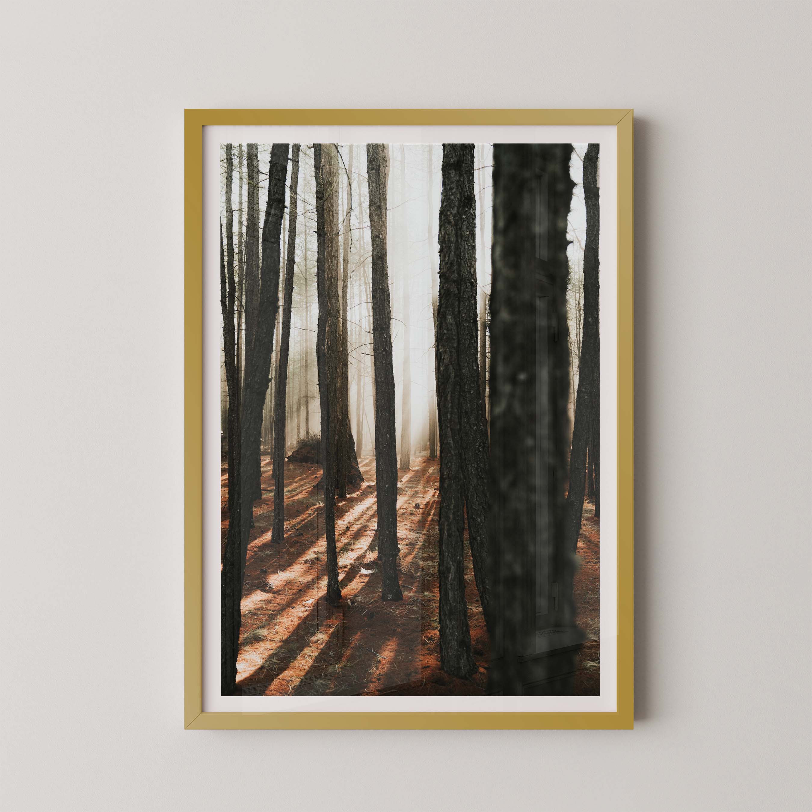 Mystic Forest