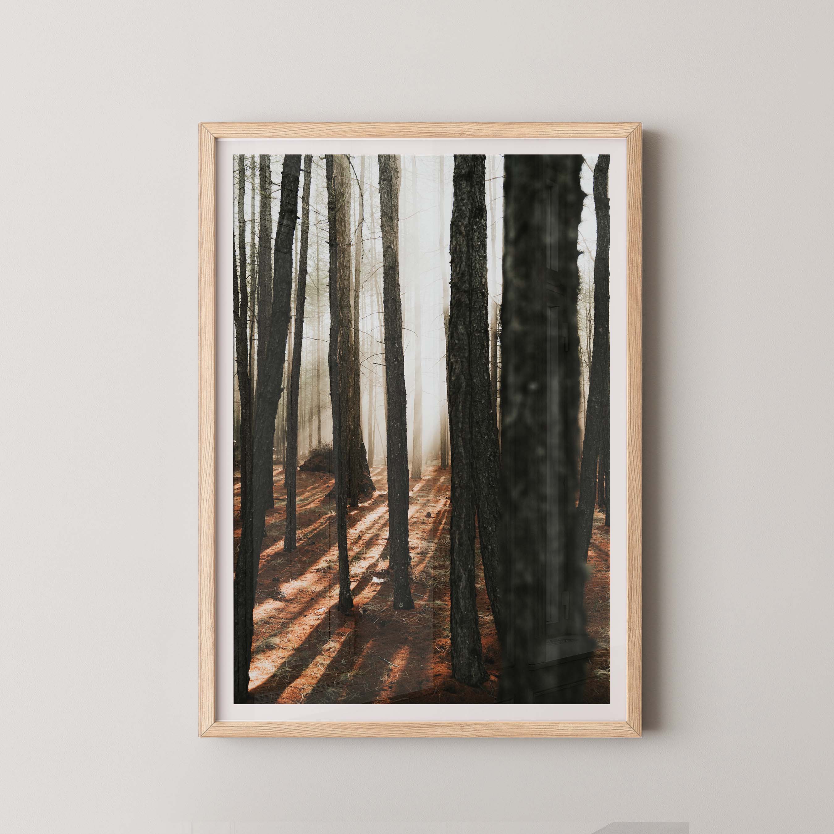 Mystic Forest