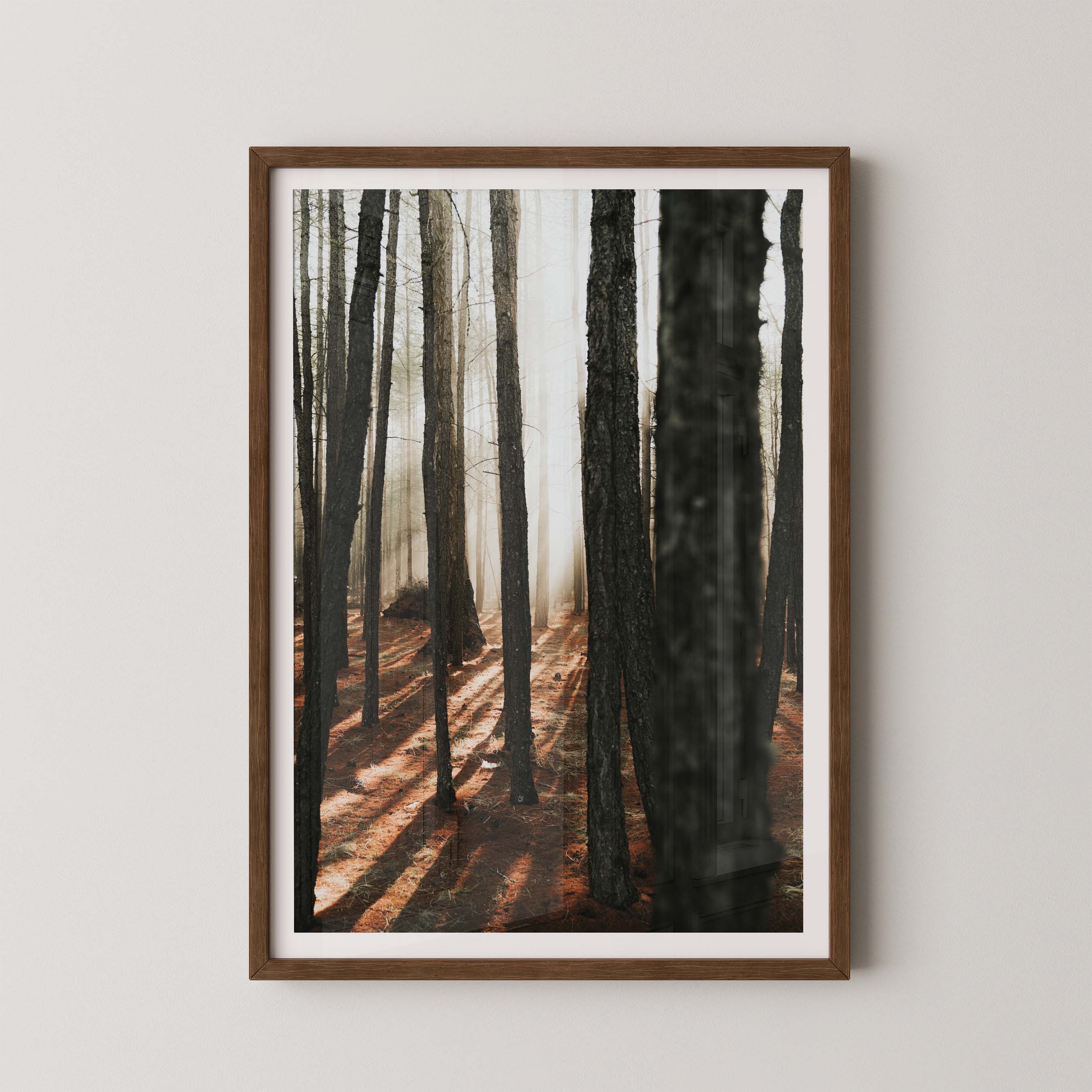 Mystic Forest