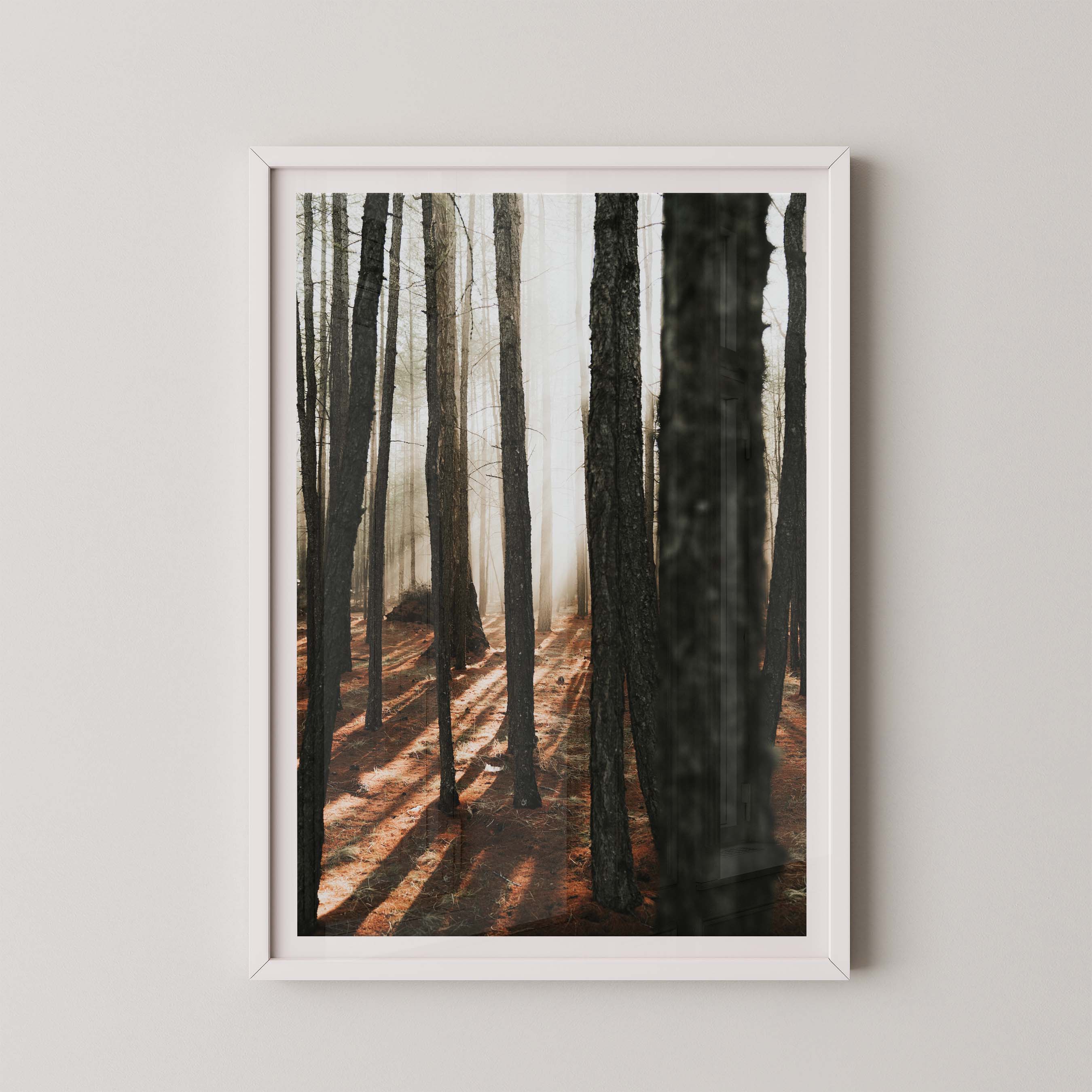Mystic Forest