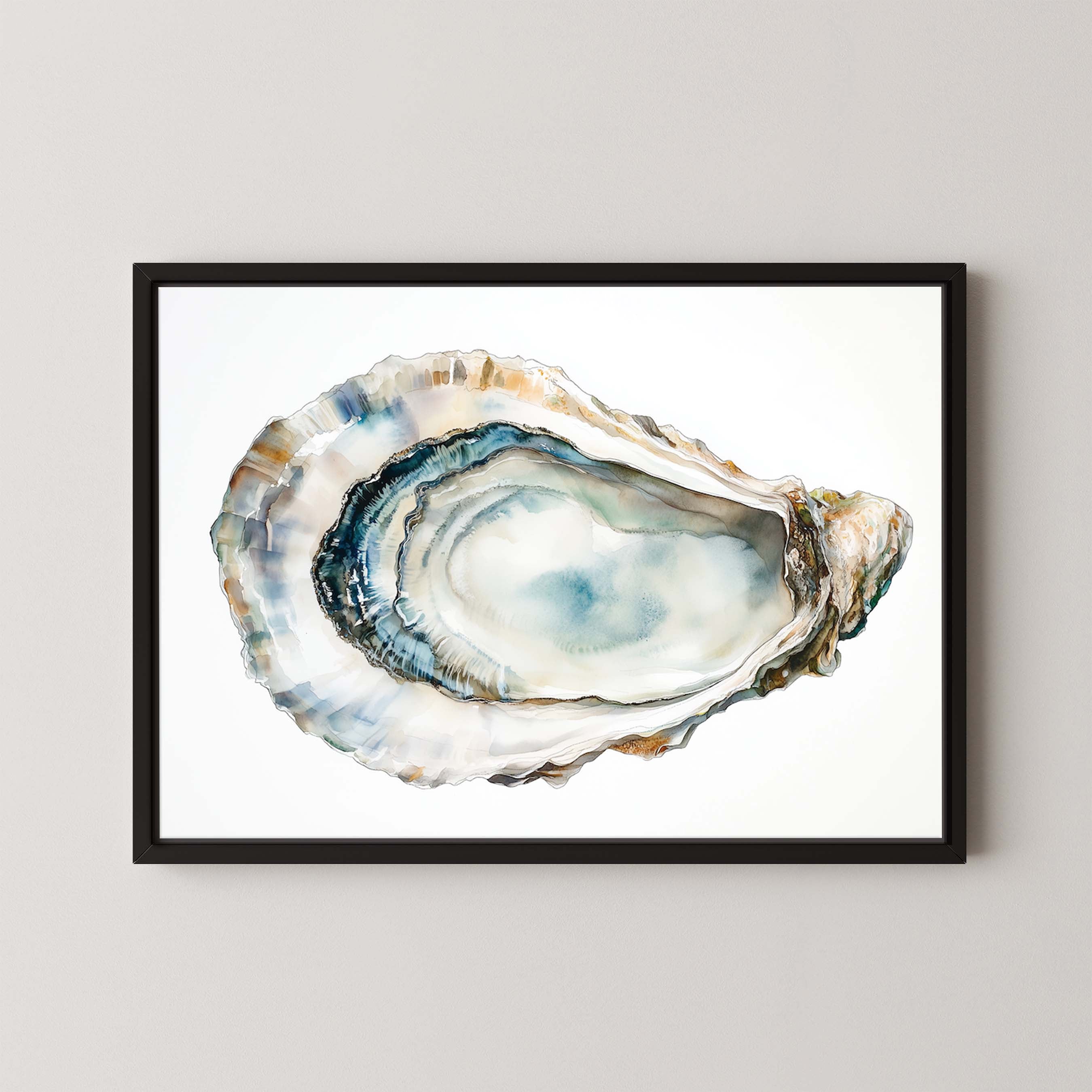 Oyster Shell III