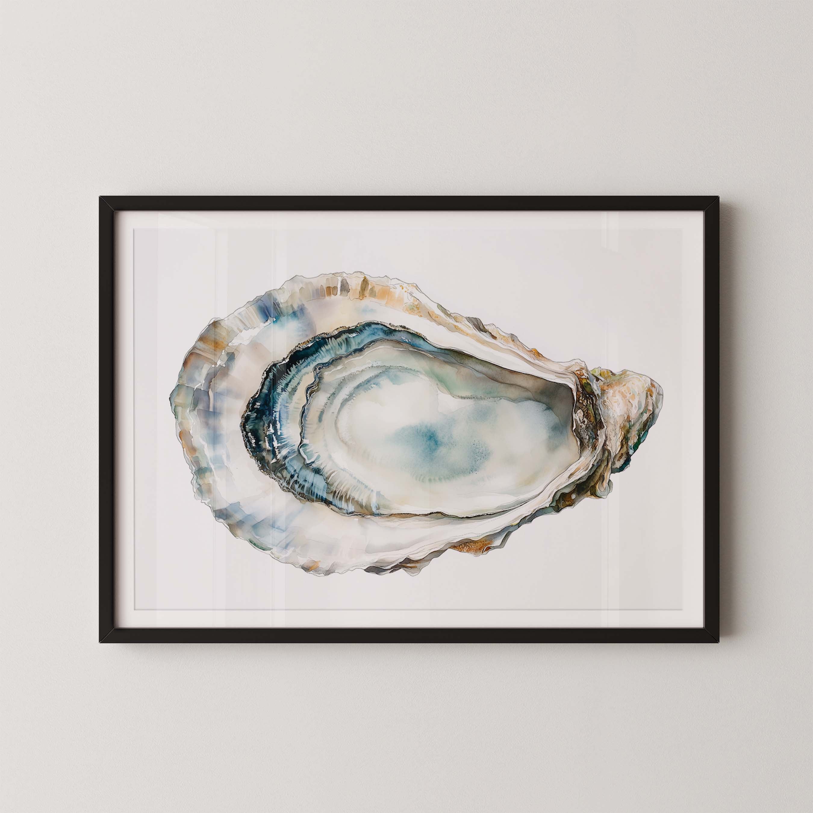 Oyster Shell III
