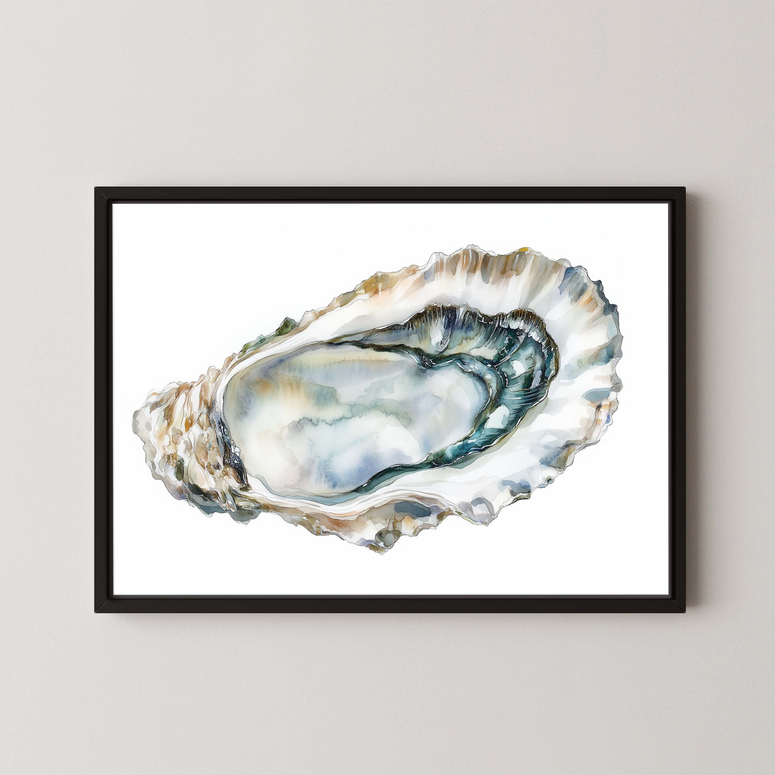 Oyster Shell II