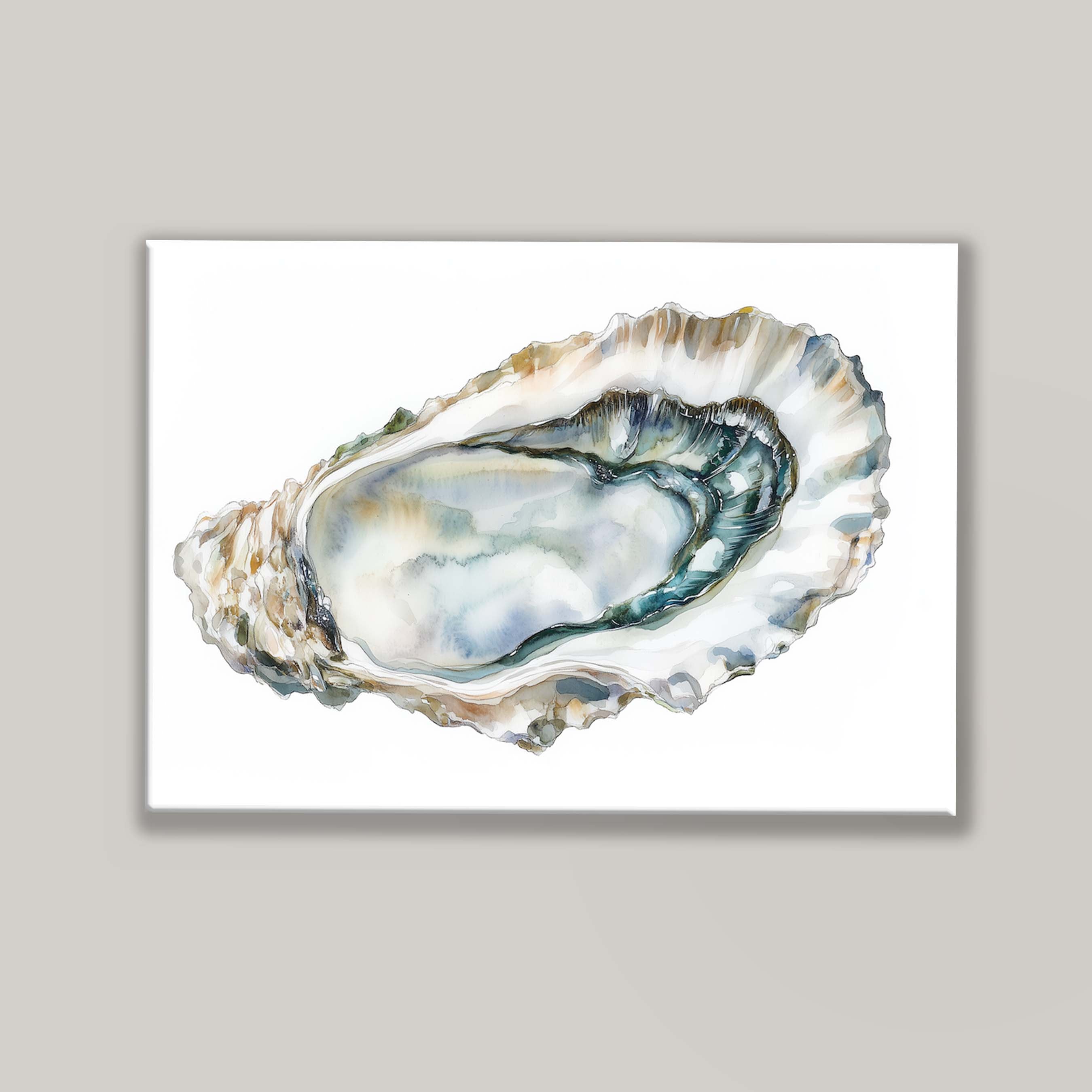 Oyster Shell II
