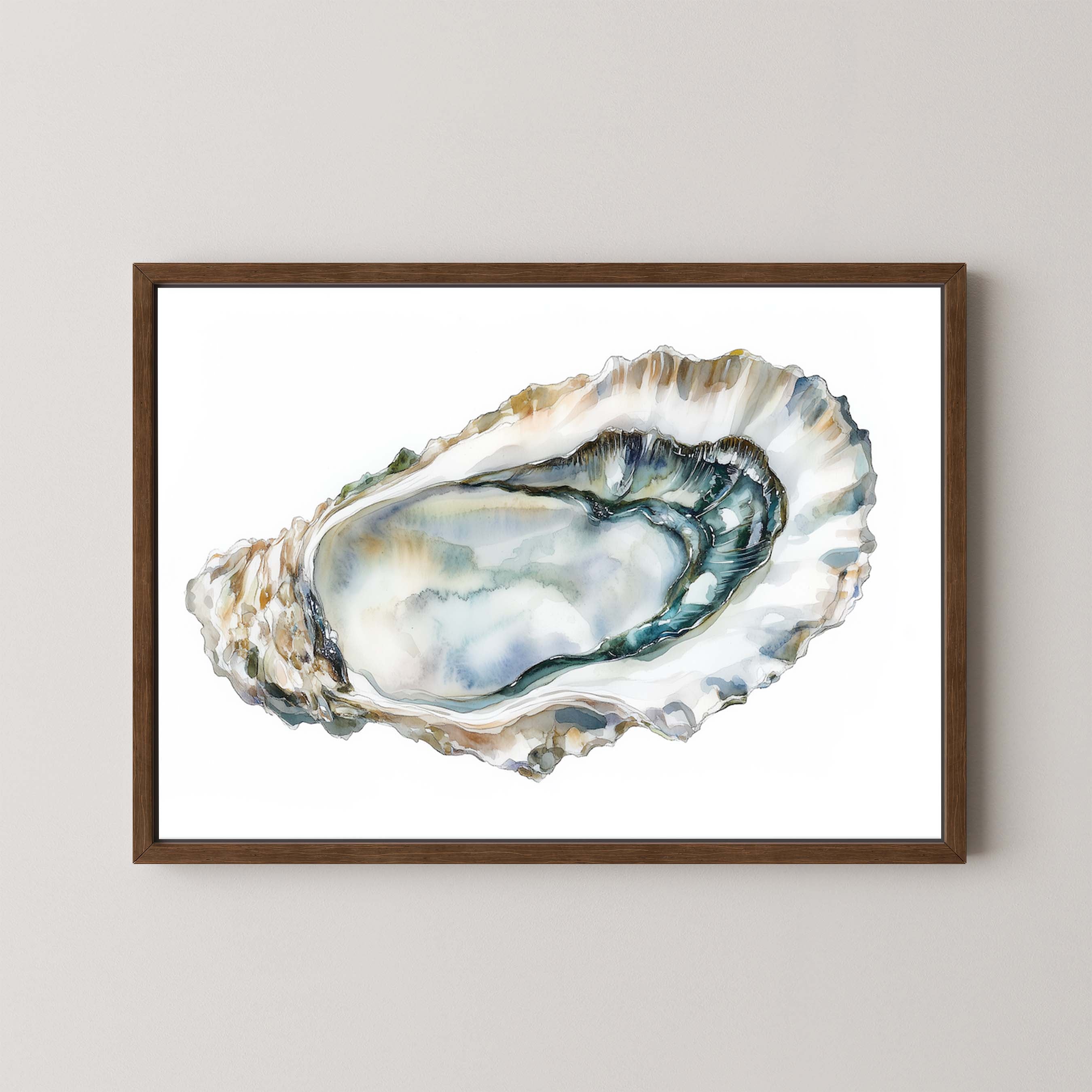 Oyster Shell II