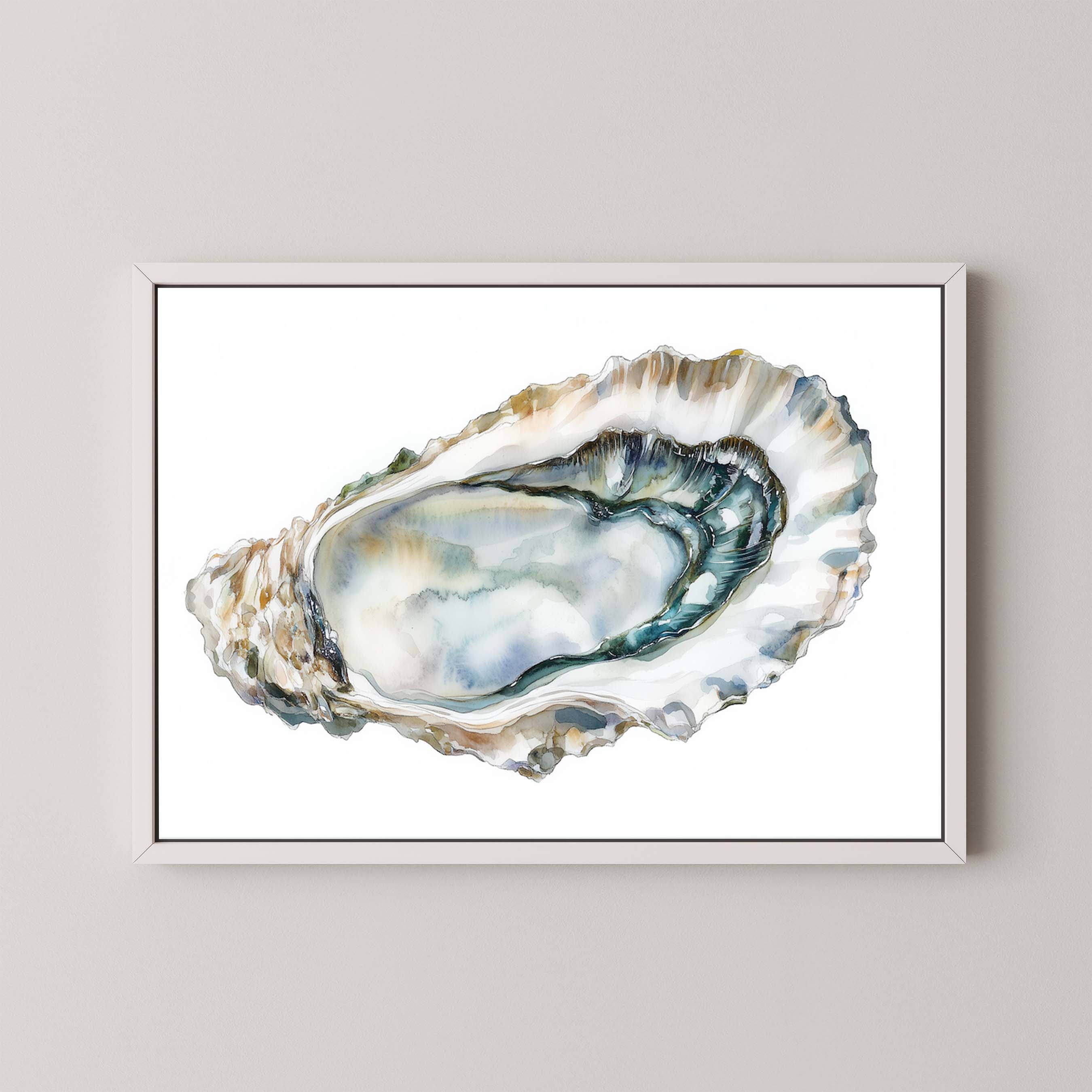 Oyster Shell II