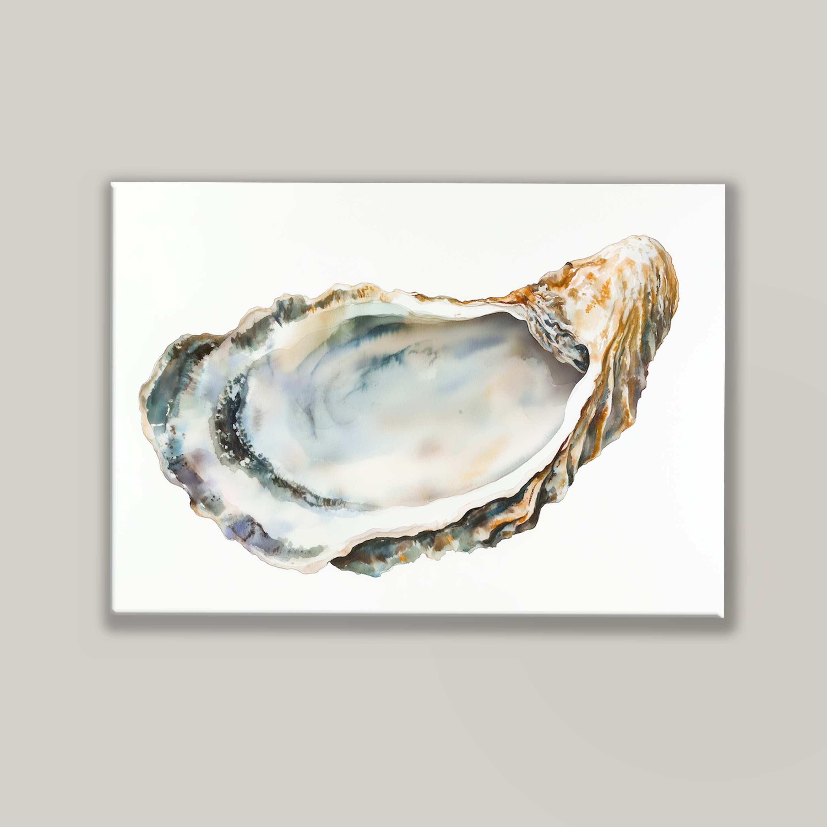 Oyster Shell I