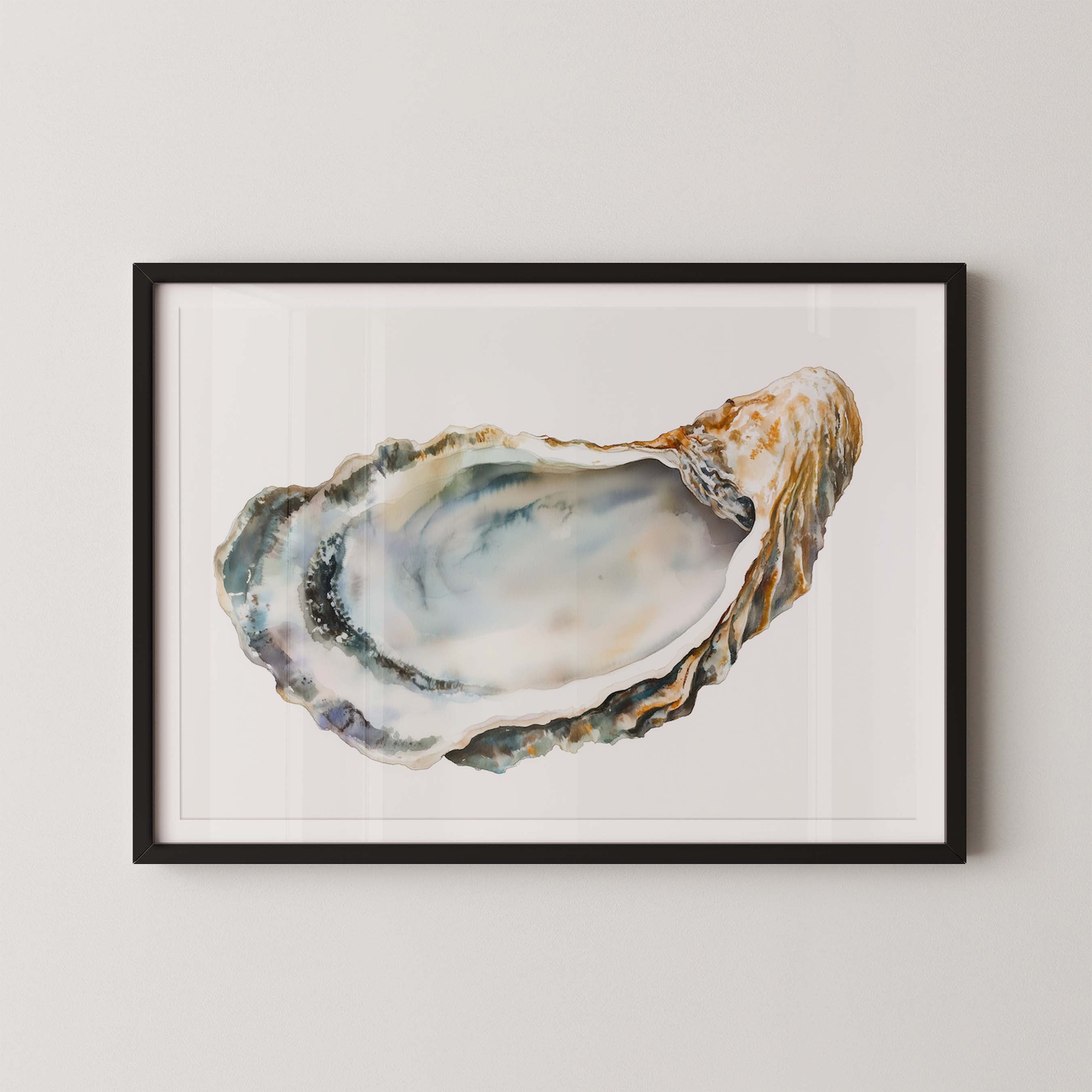 Oyster Shell I