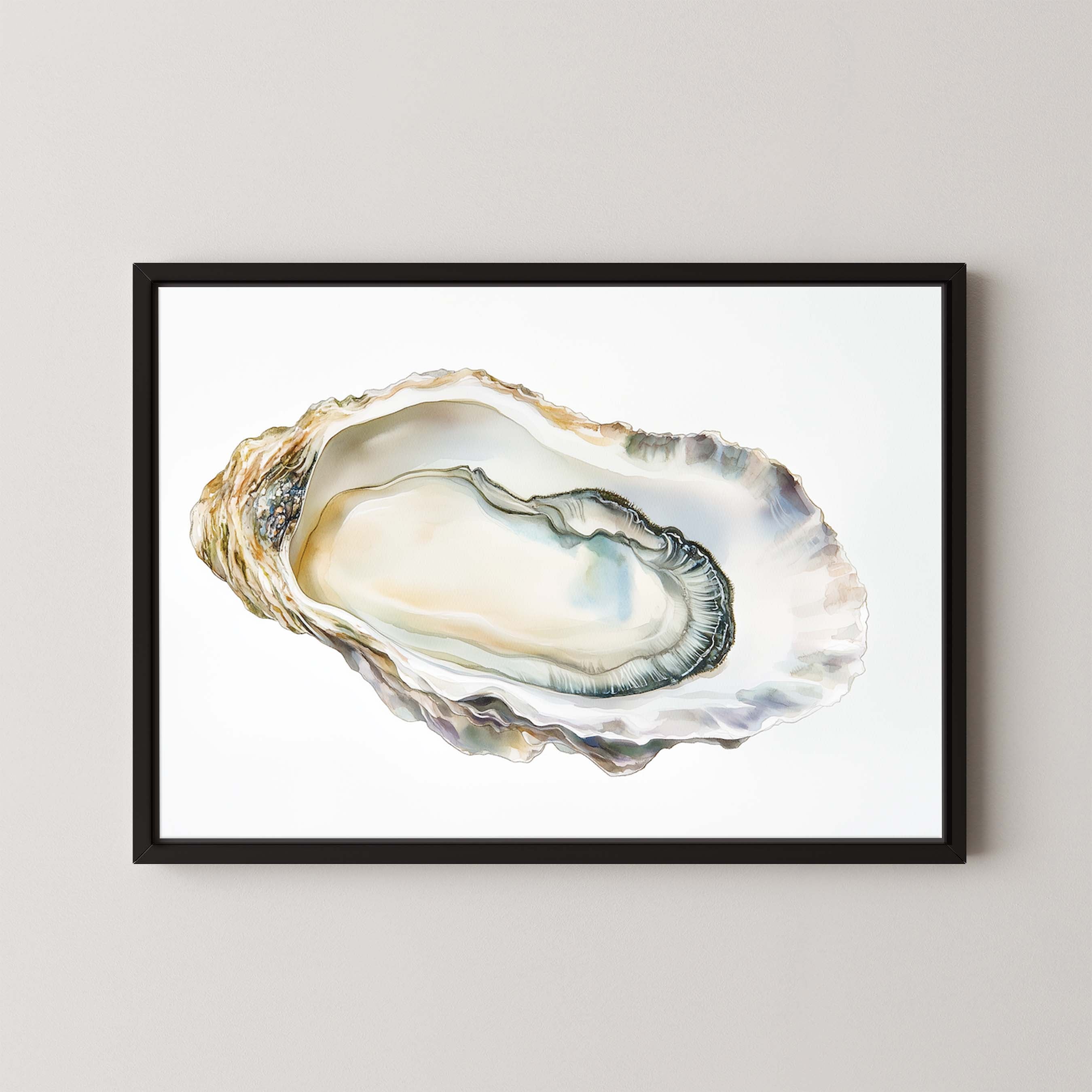 Oyster Shell IV