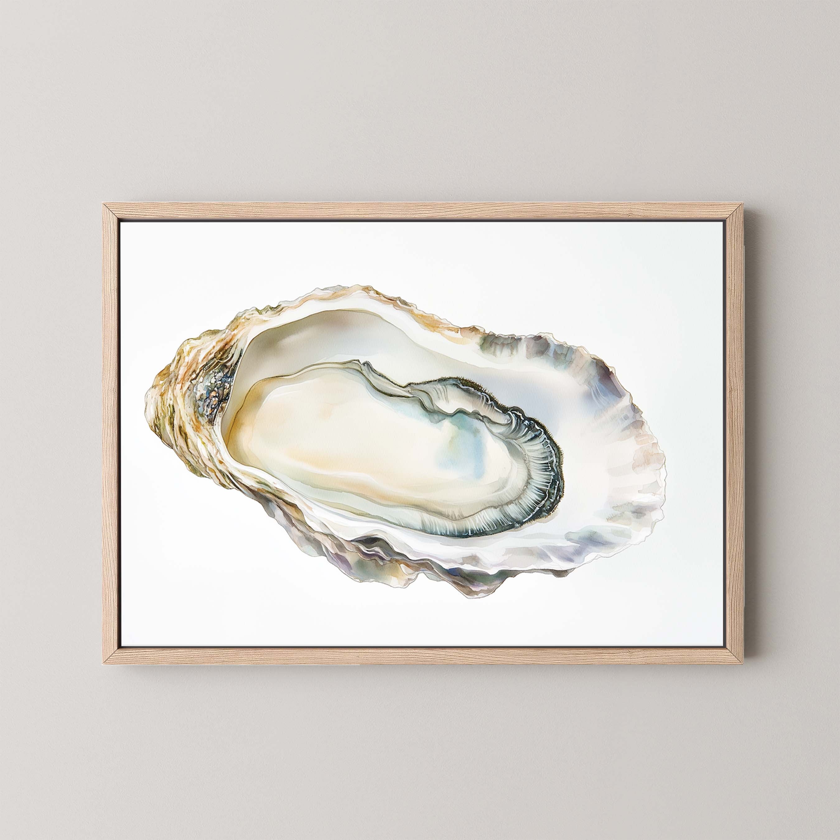 Oyster Shell IV