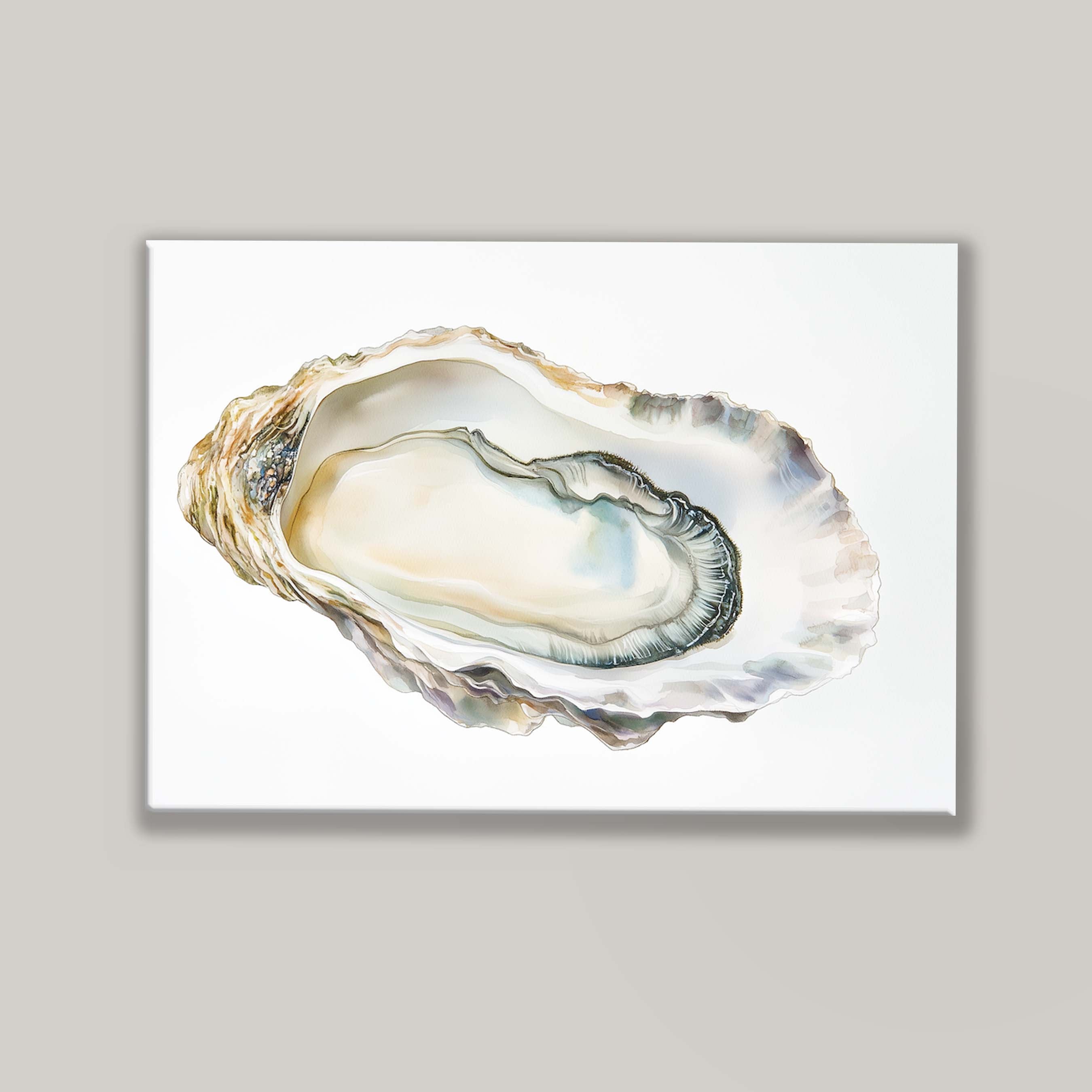 Oyster Shell IV