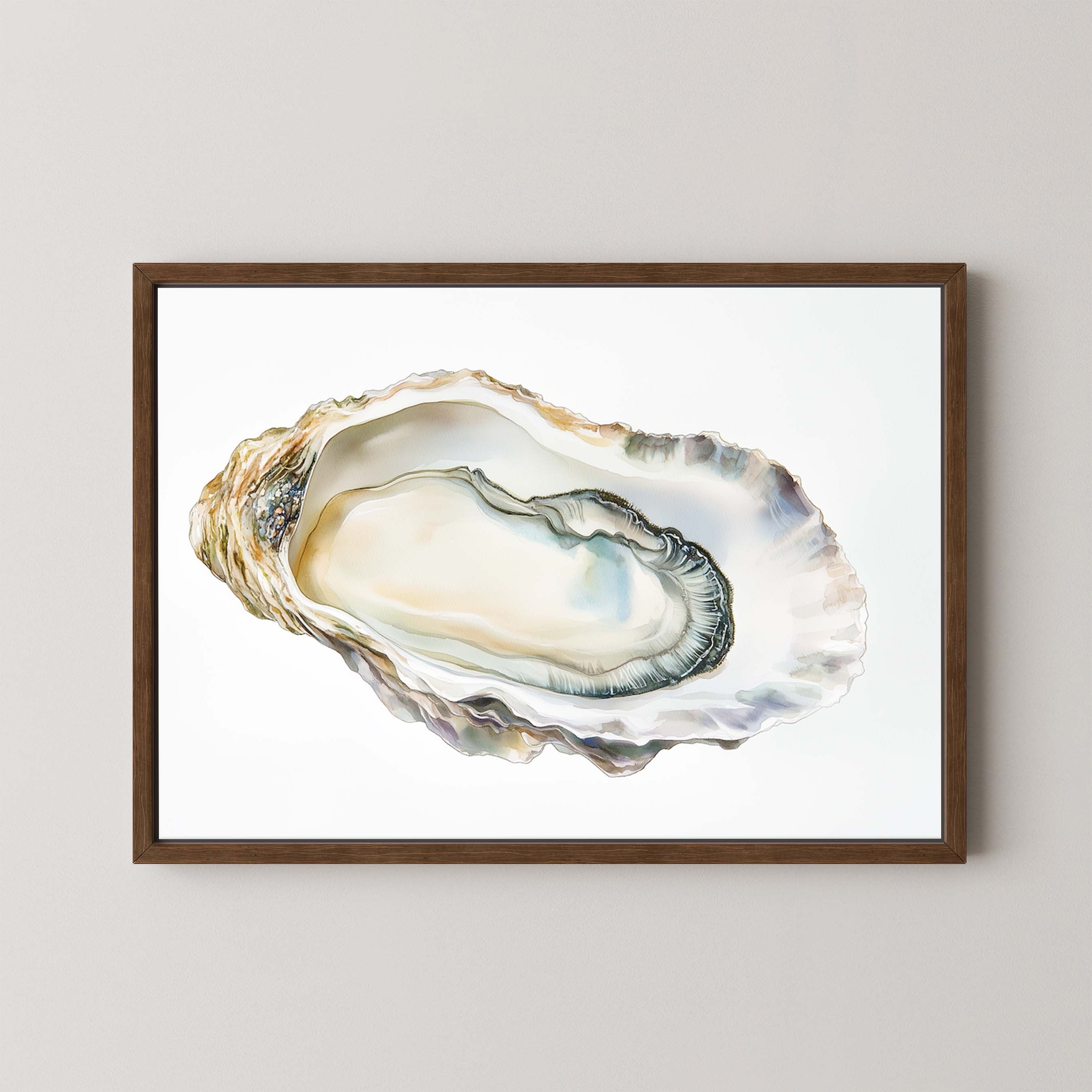 Oyster Shell IV