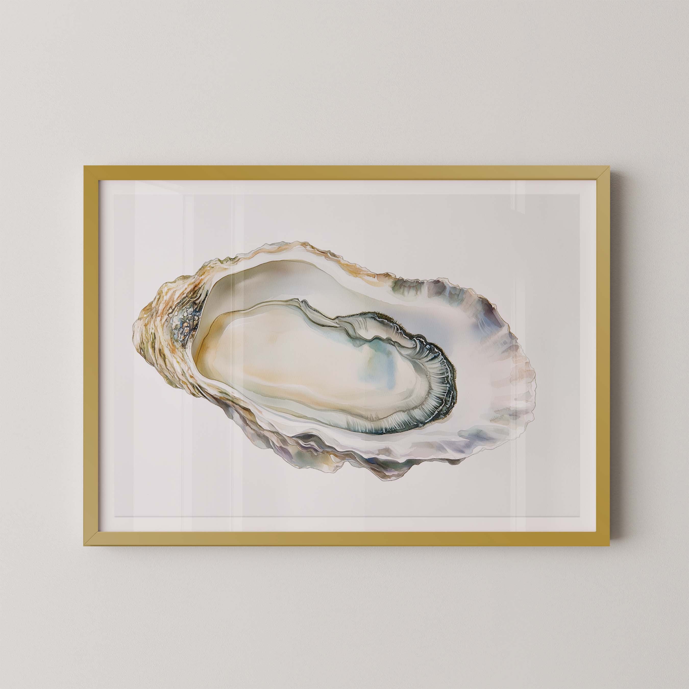 Oyster Shell IV