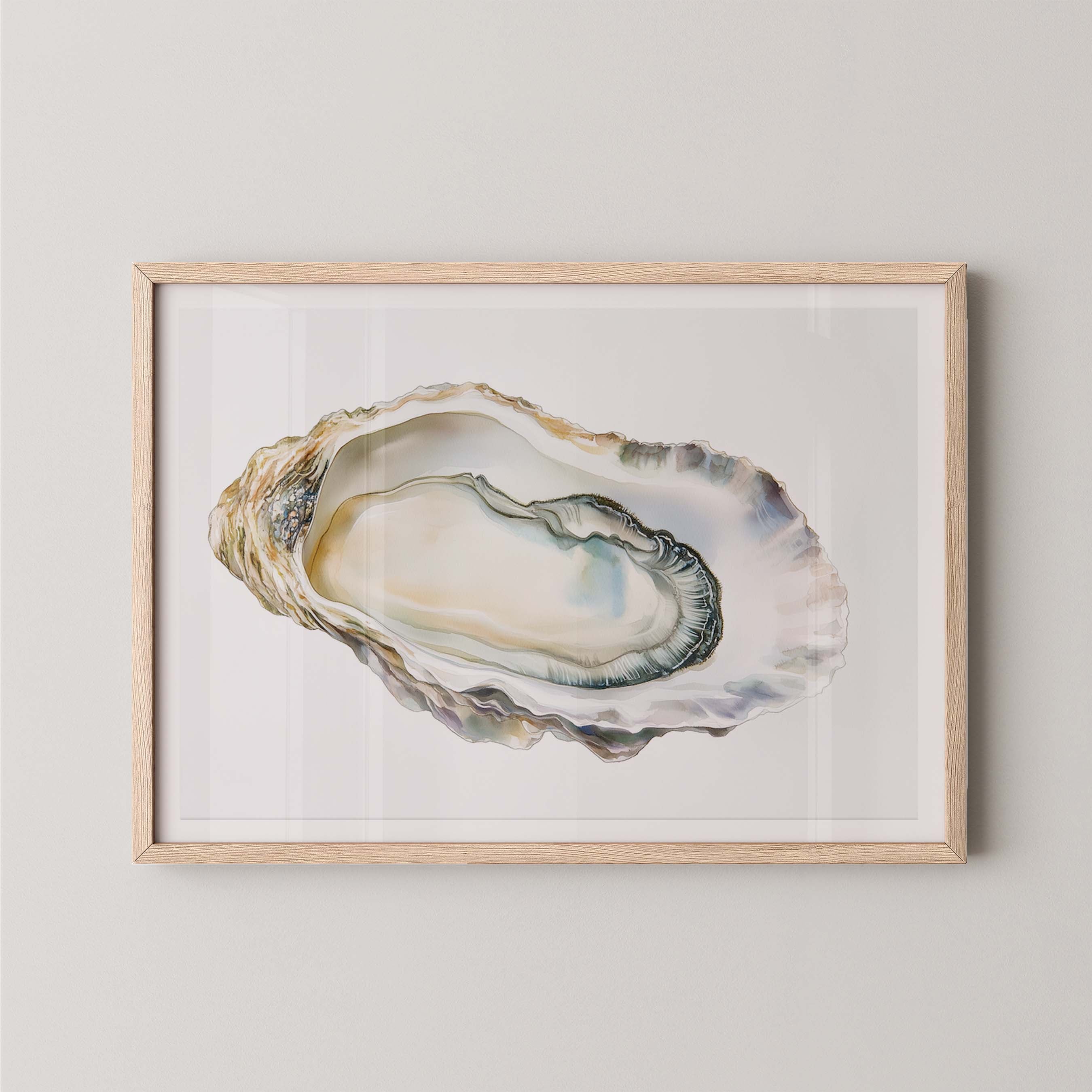 Oyster Shell IV
