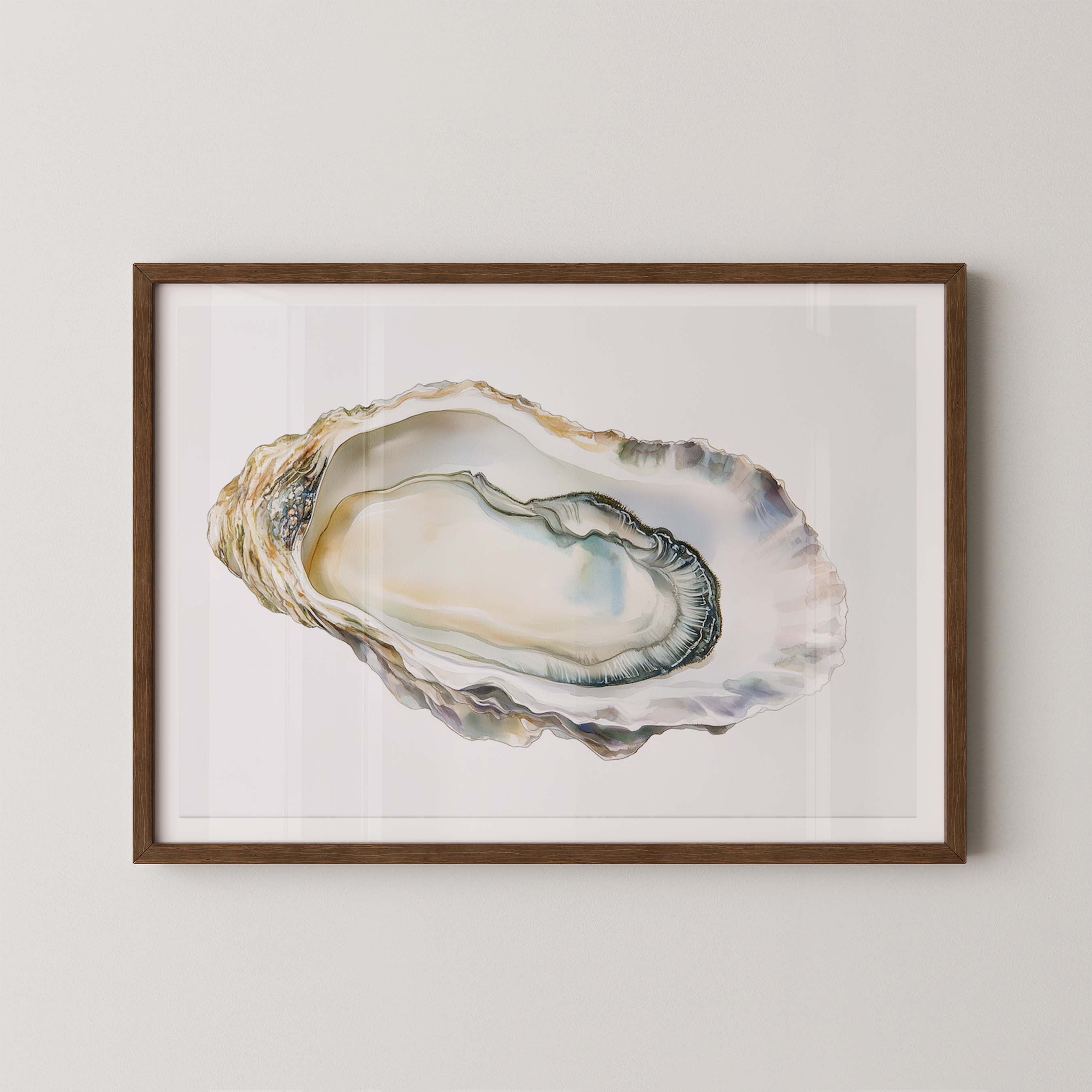 Oyster Shell IV
