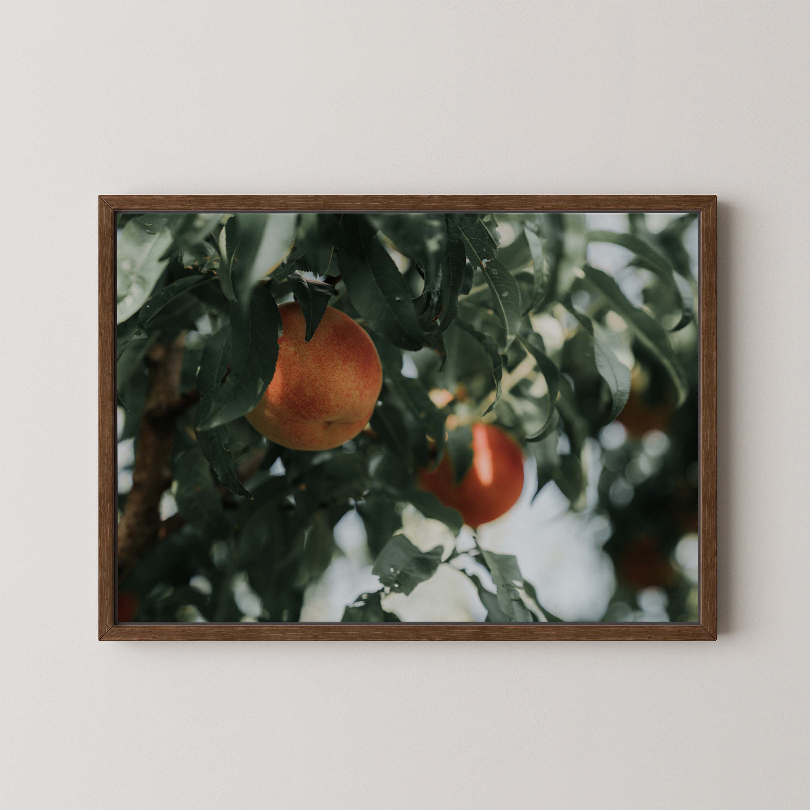 Palisade Peaches