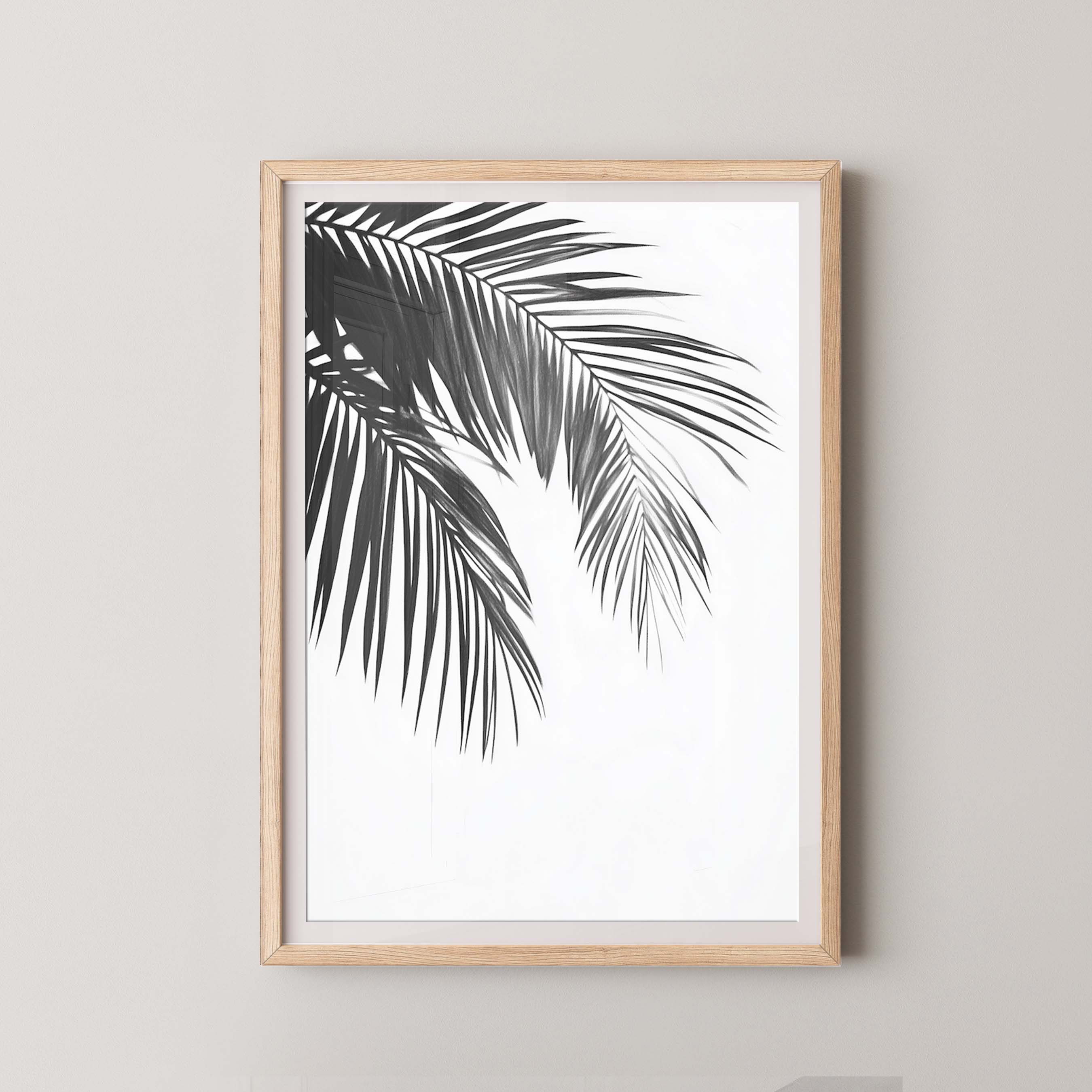 Palm I