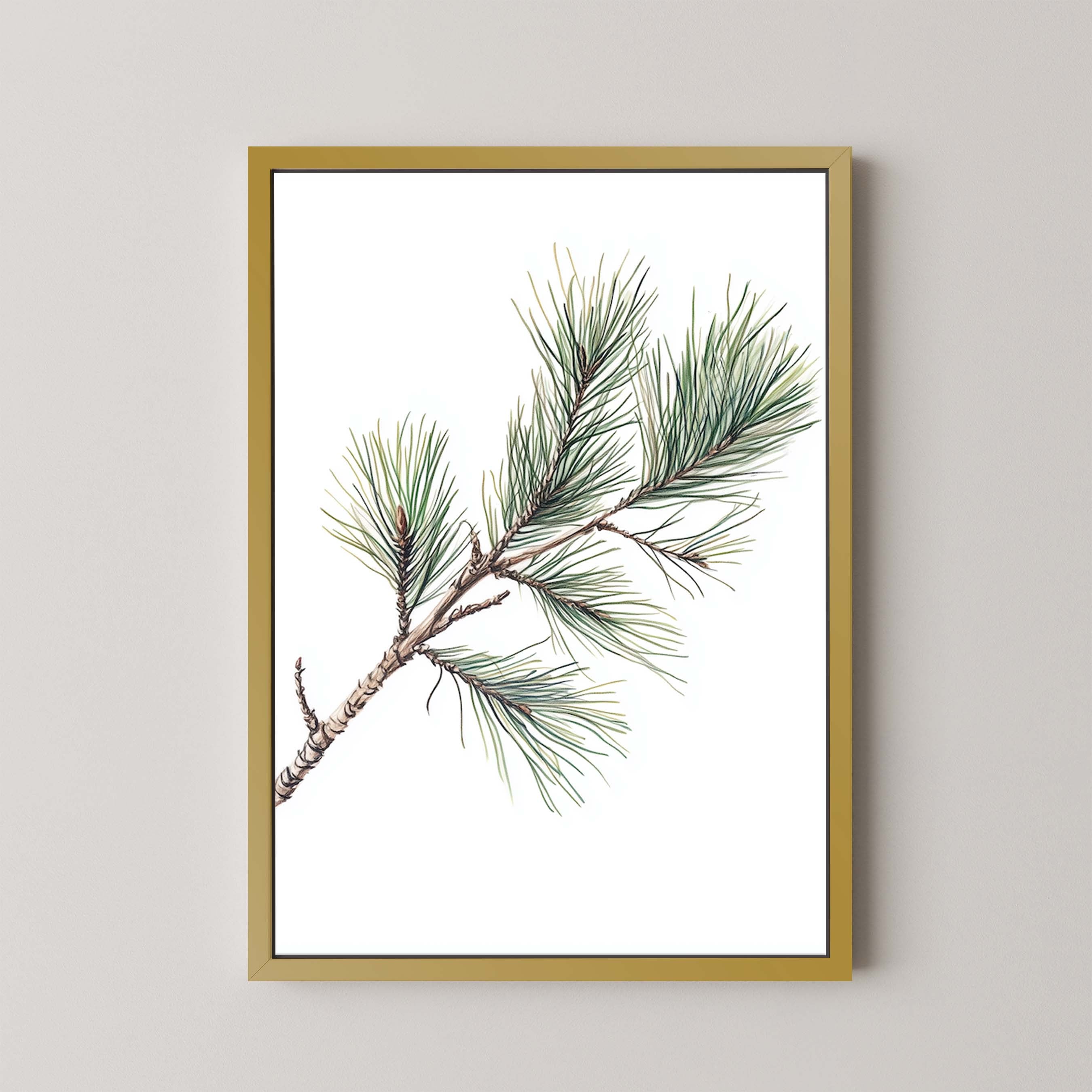Pine Branch