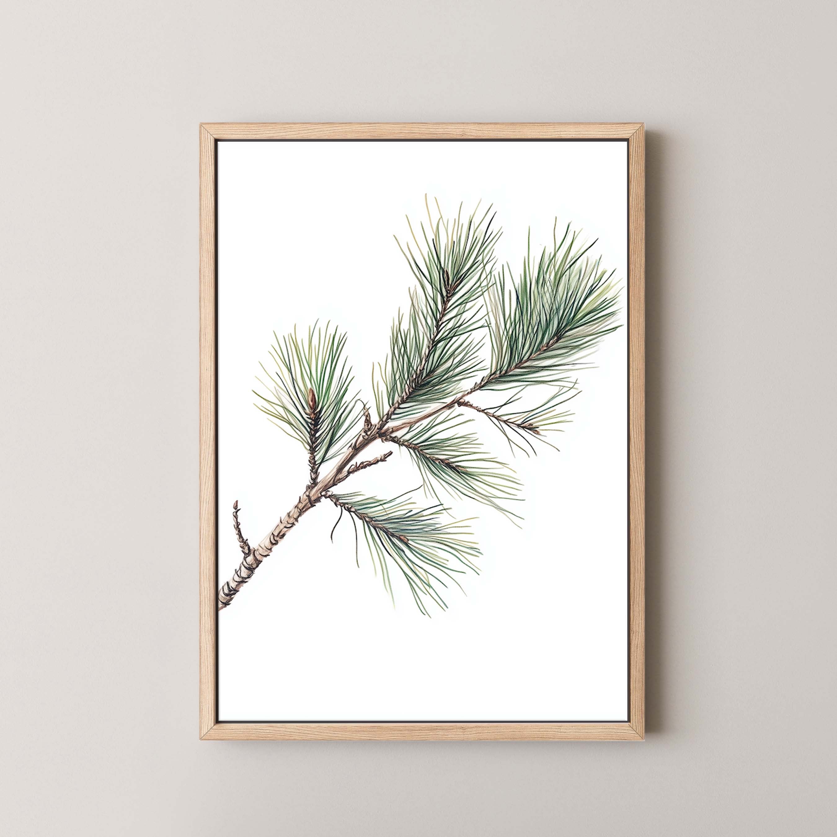 Pine Branch