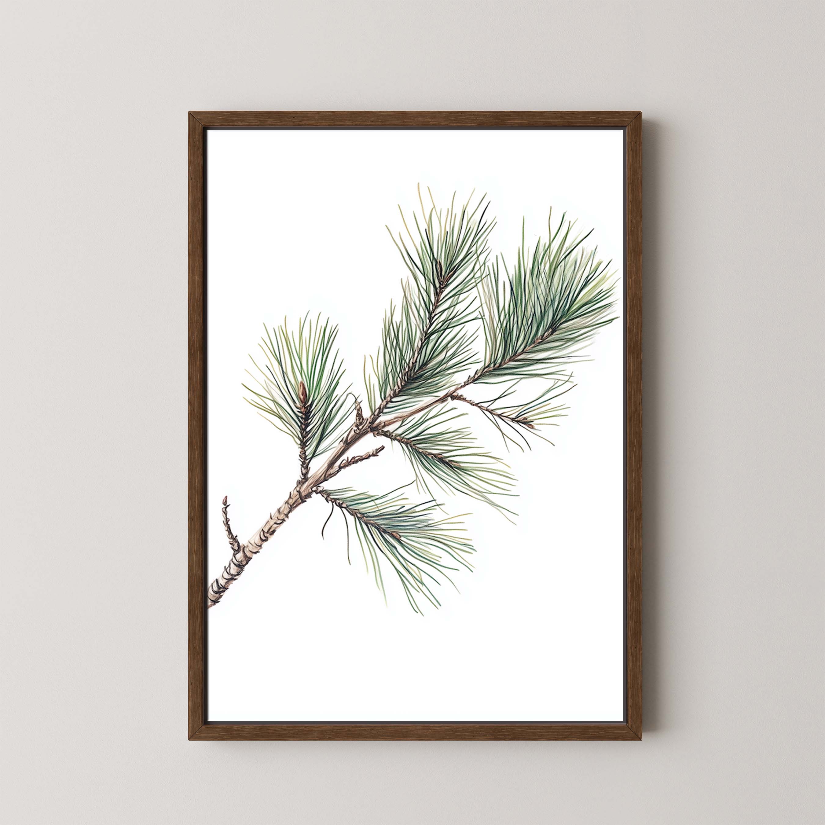 Pine Branch