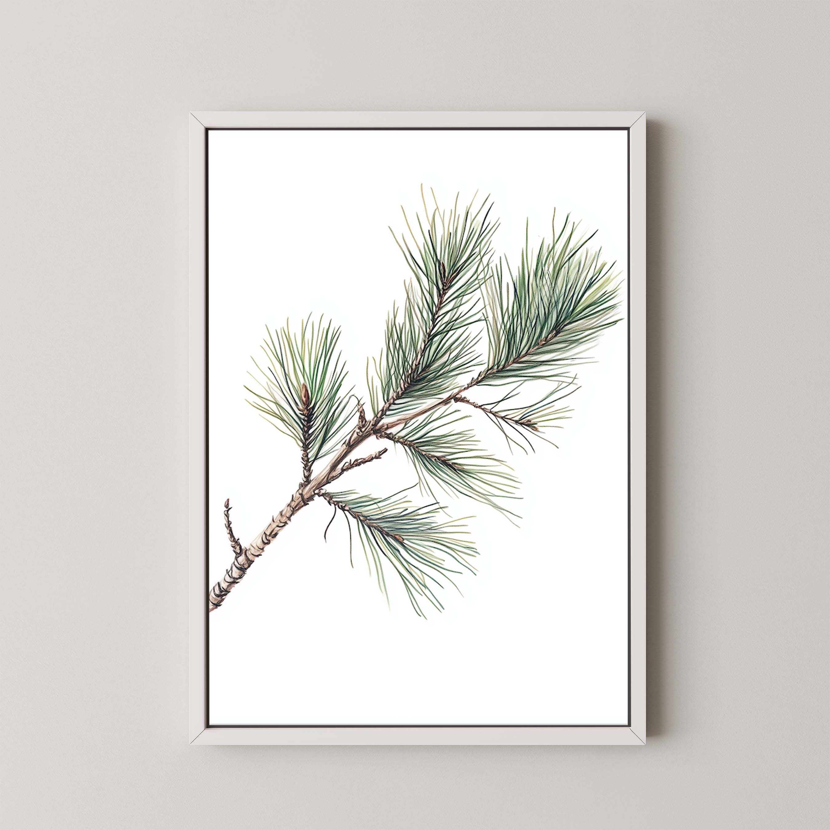 Pine Branch