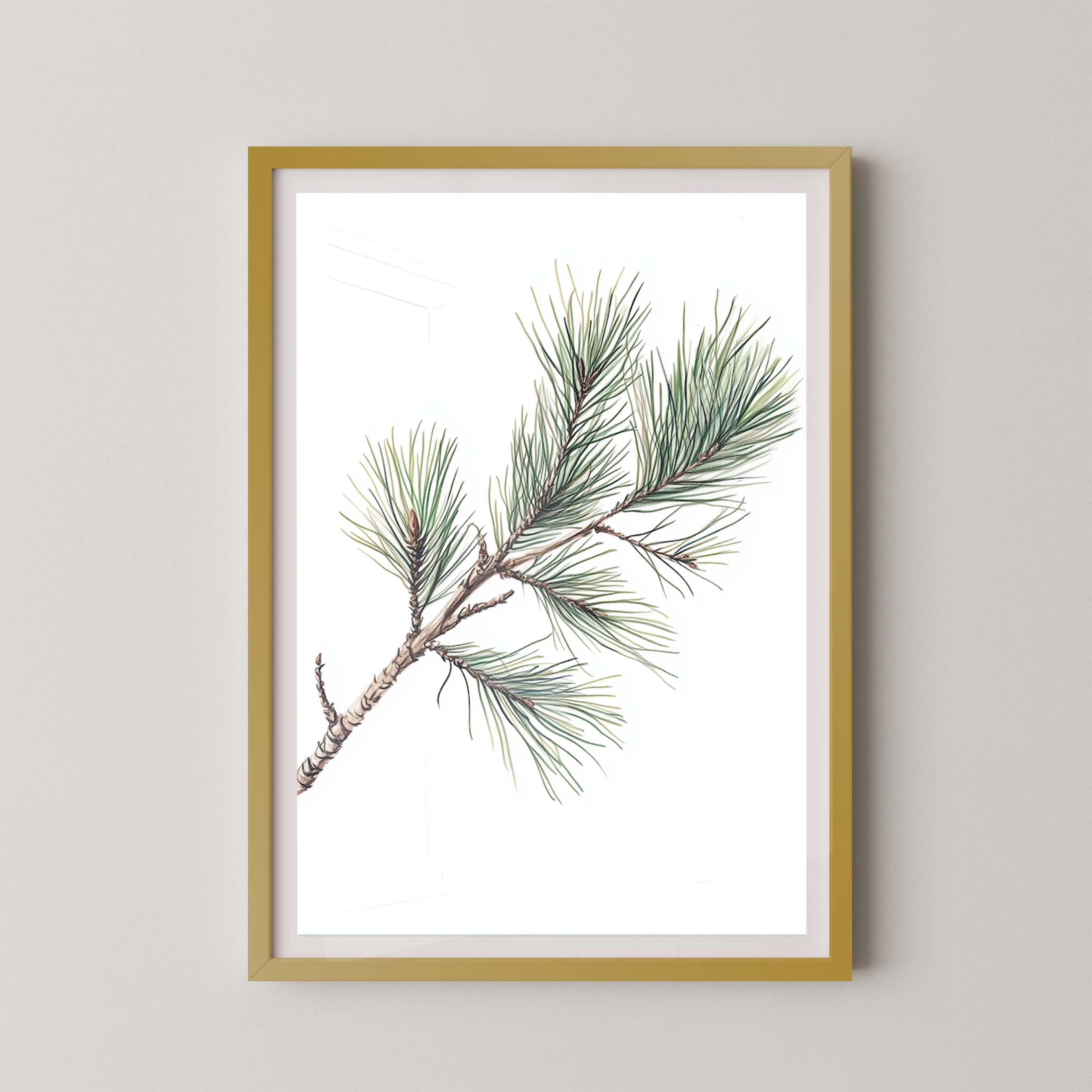 Pine Branch